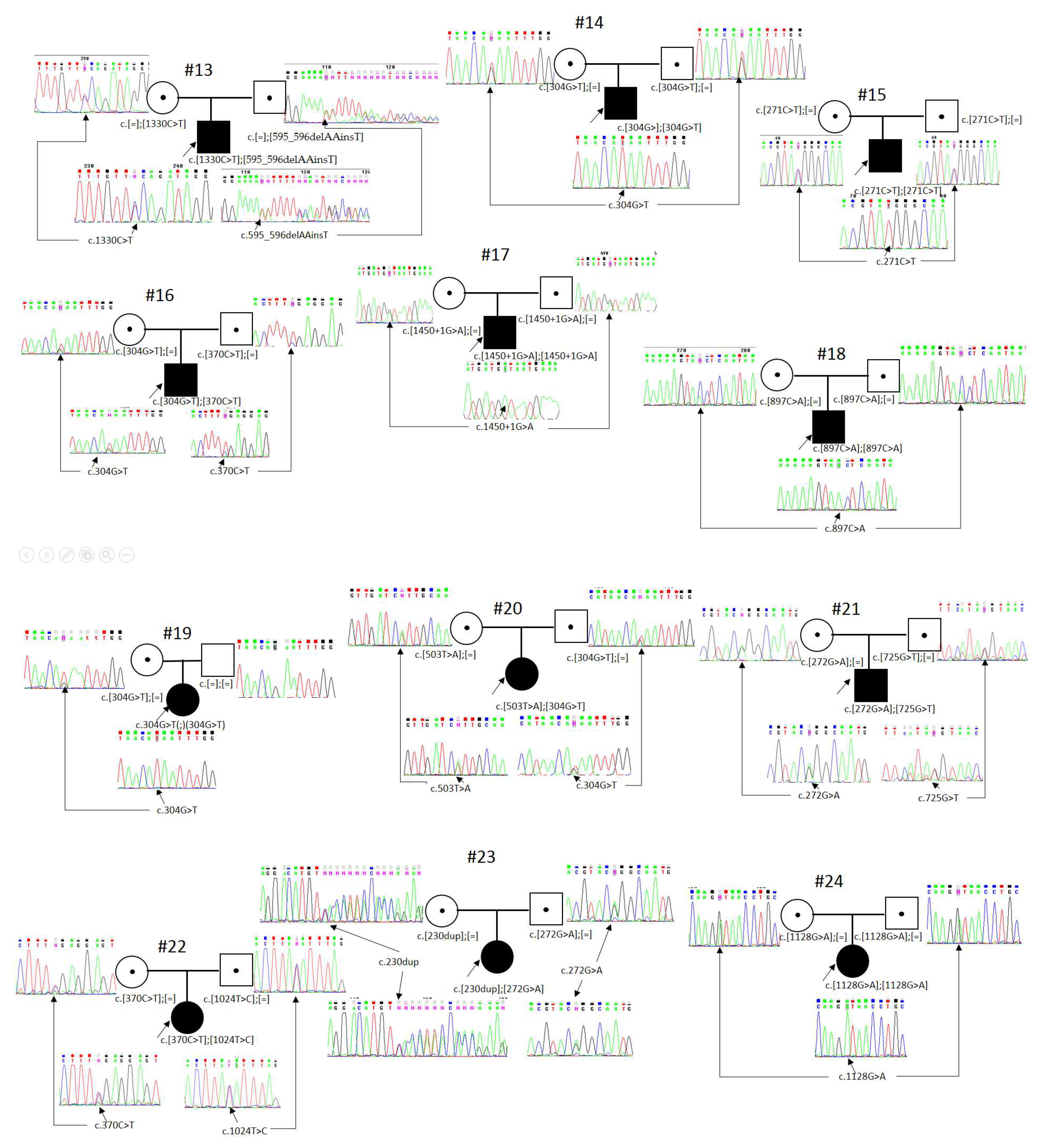 Genes 14 02056 g001b