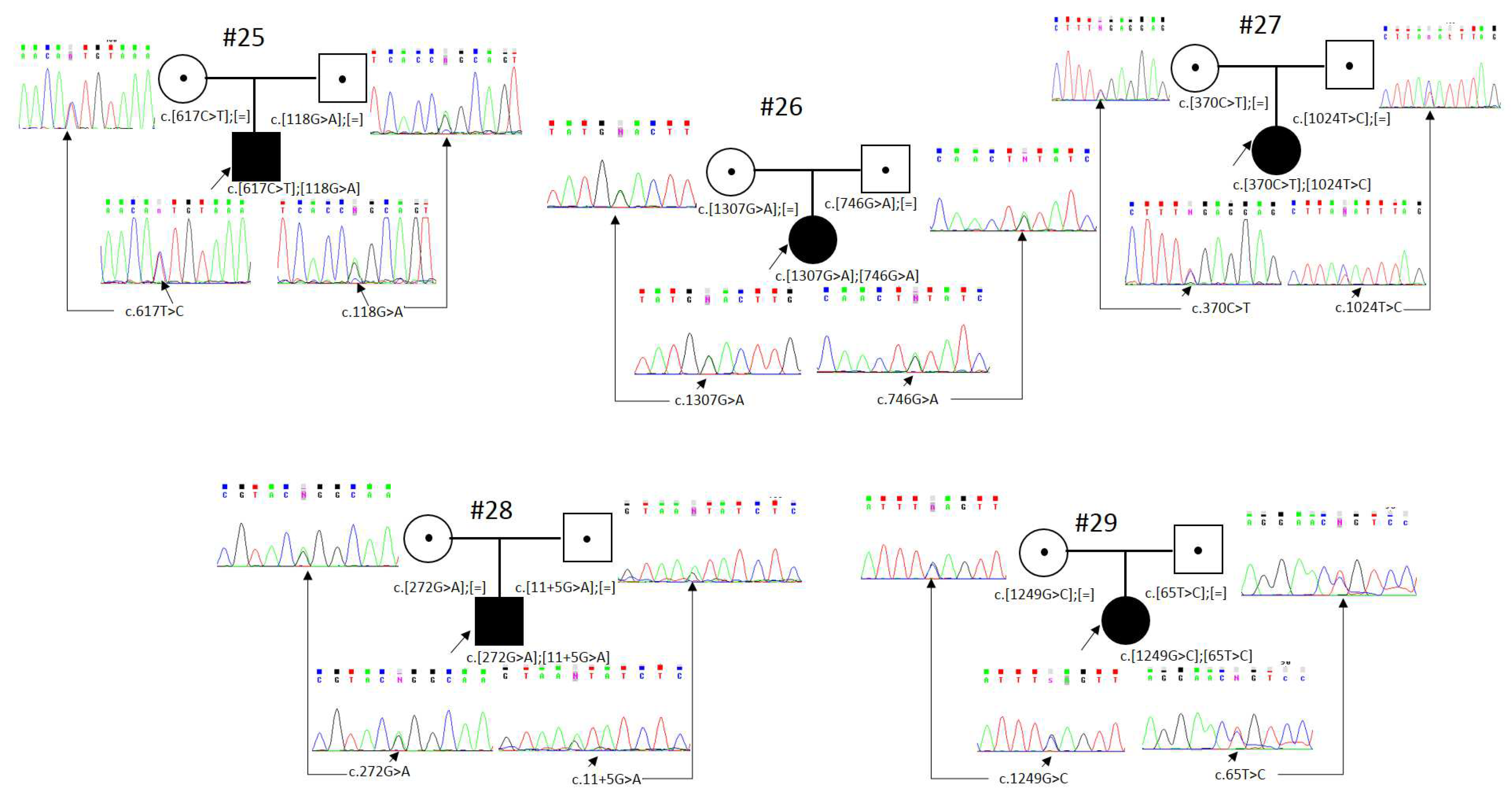 Genes 14 02056 g001c
