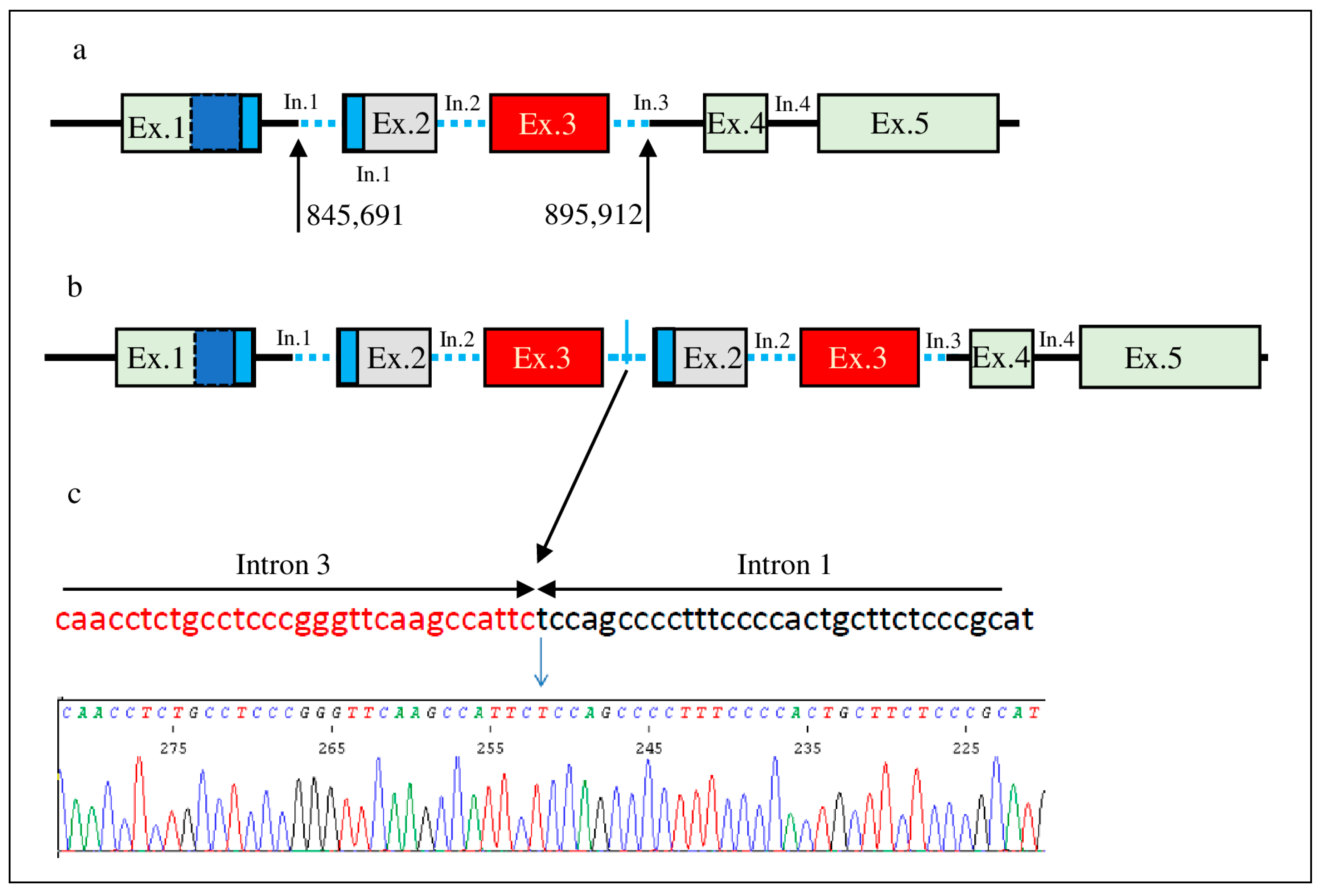 Genes 14 02067 g002