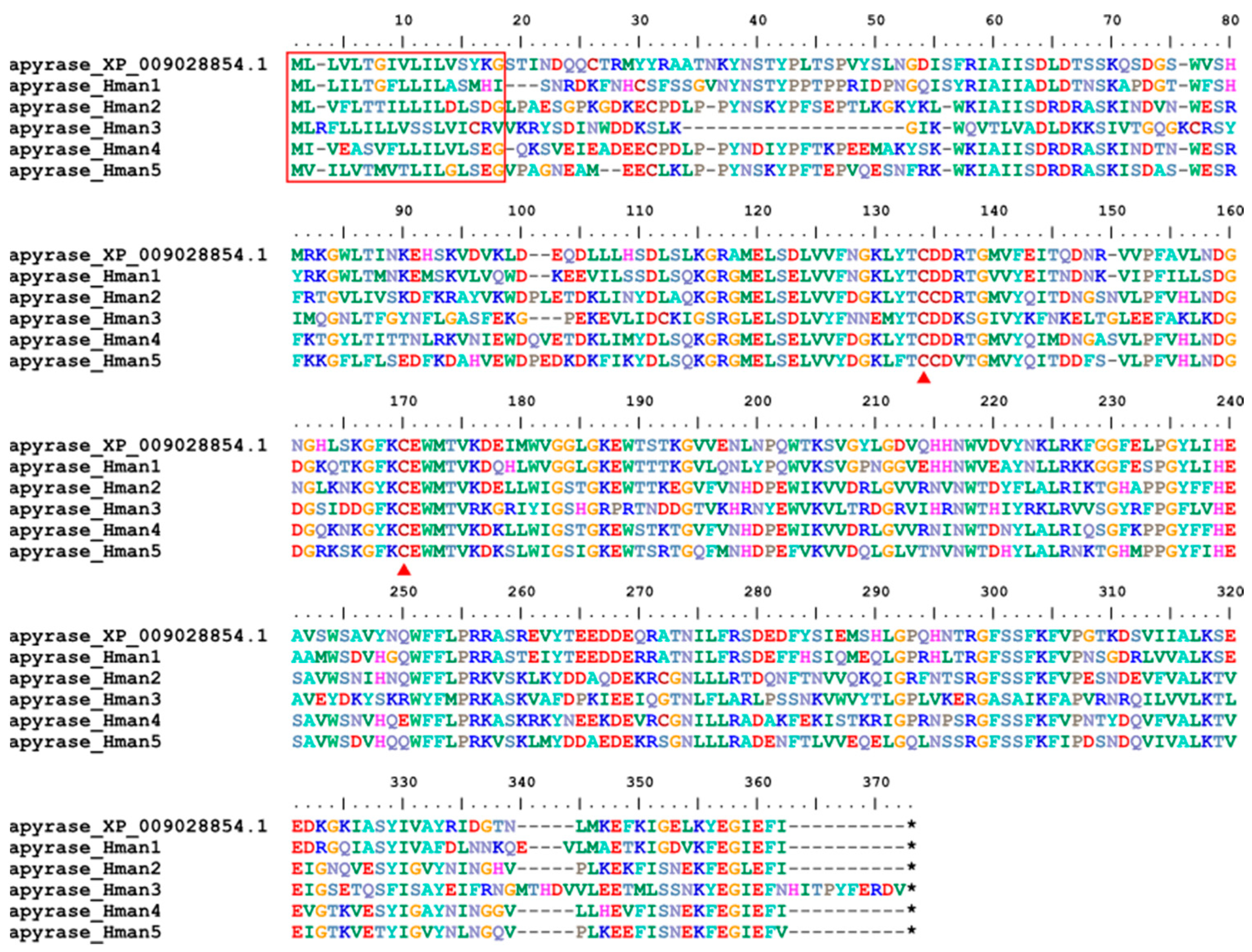 Genes 14 02068 g013