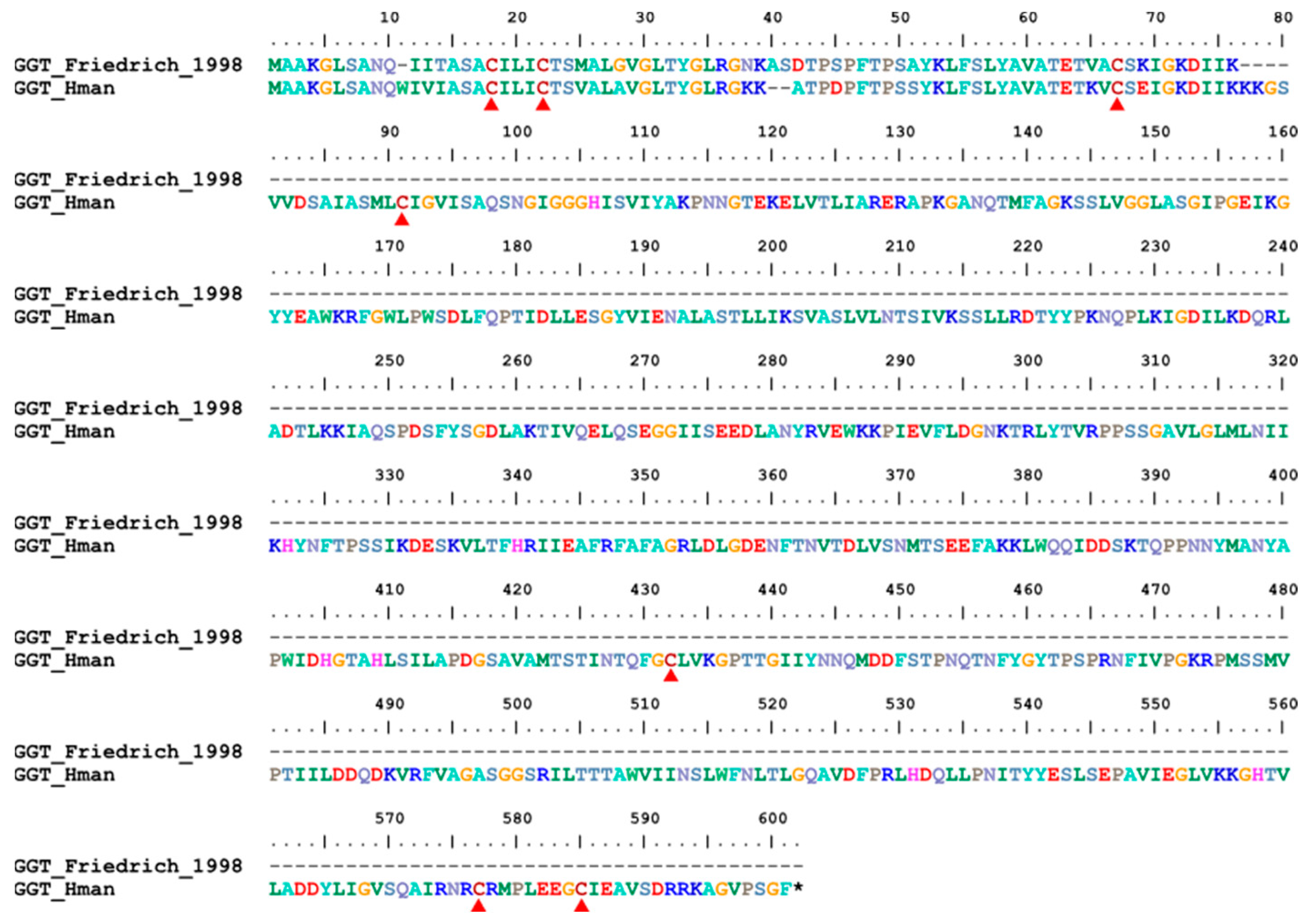 Genes 14 02068 g016