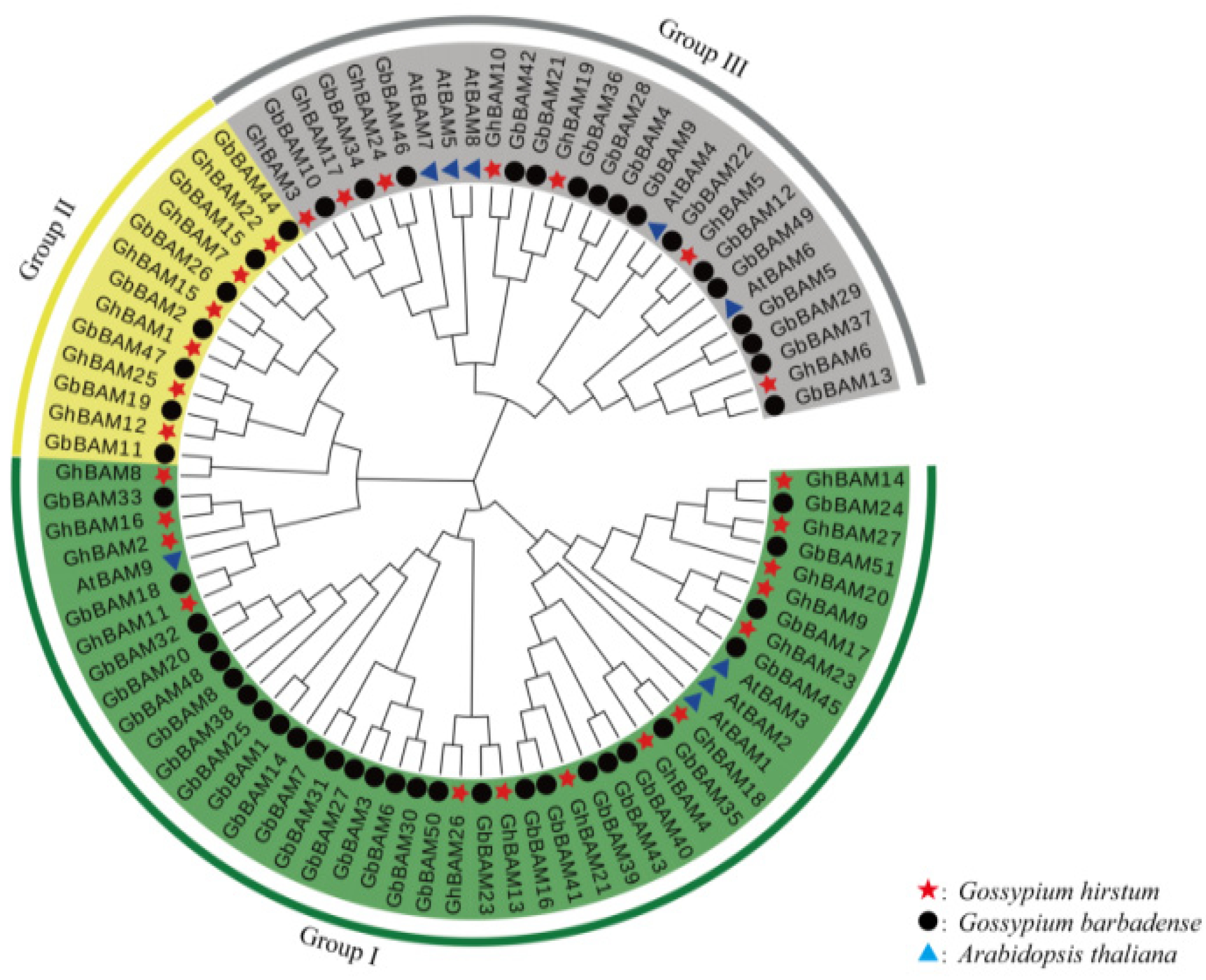 Genes 14 02077 g001