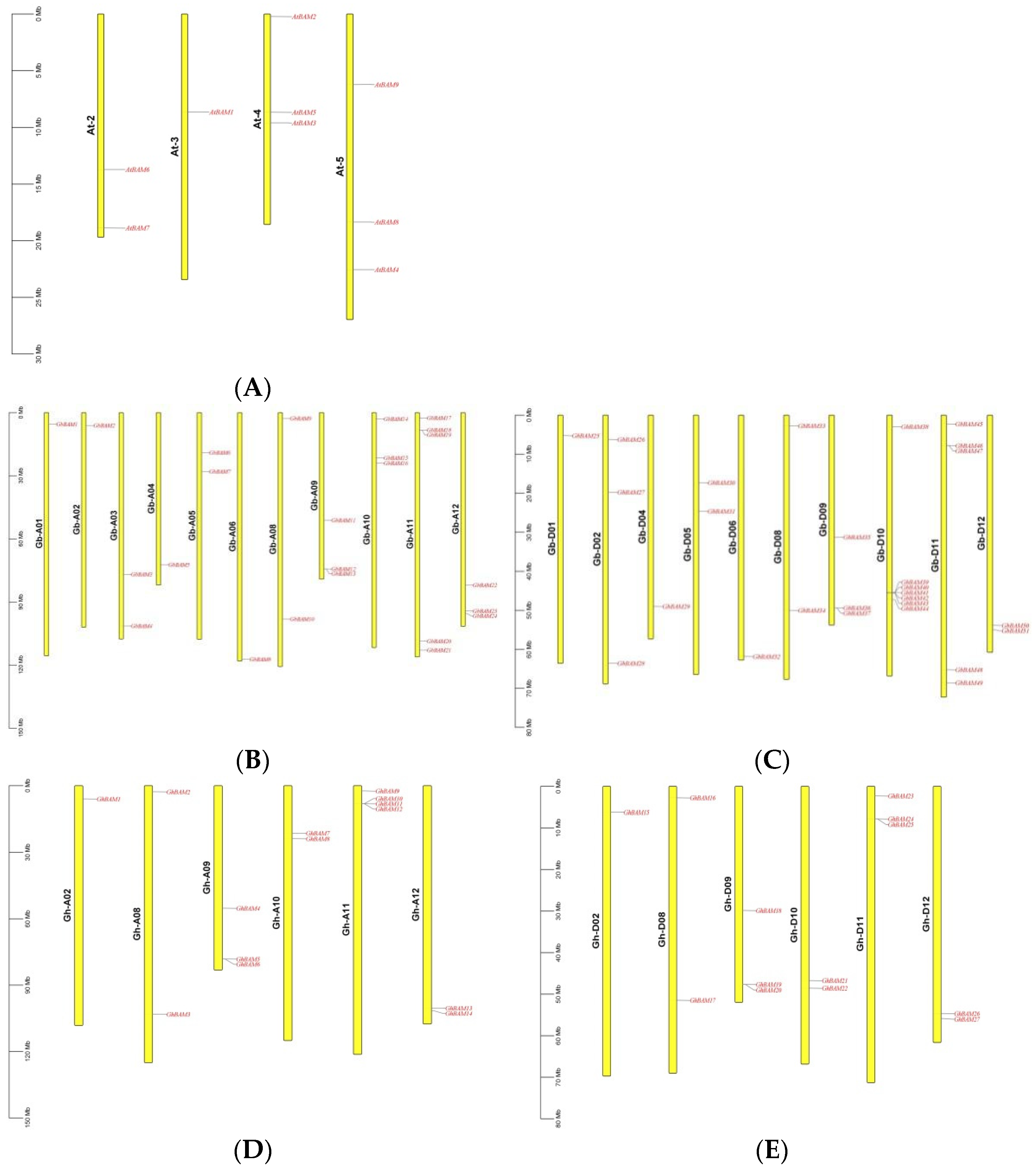 Genes 14 02077 g004
