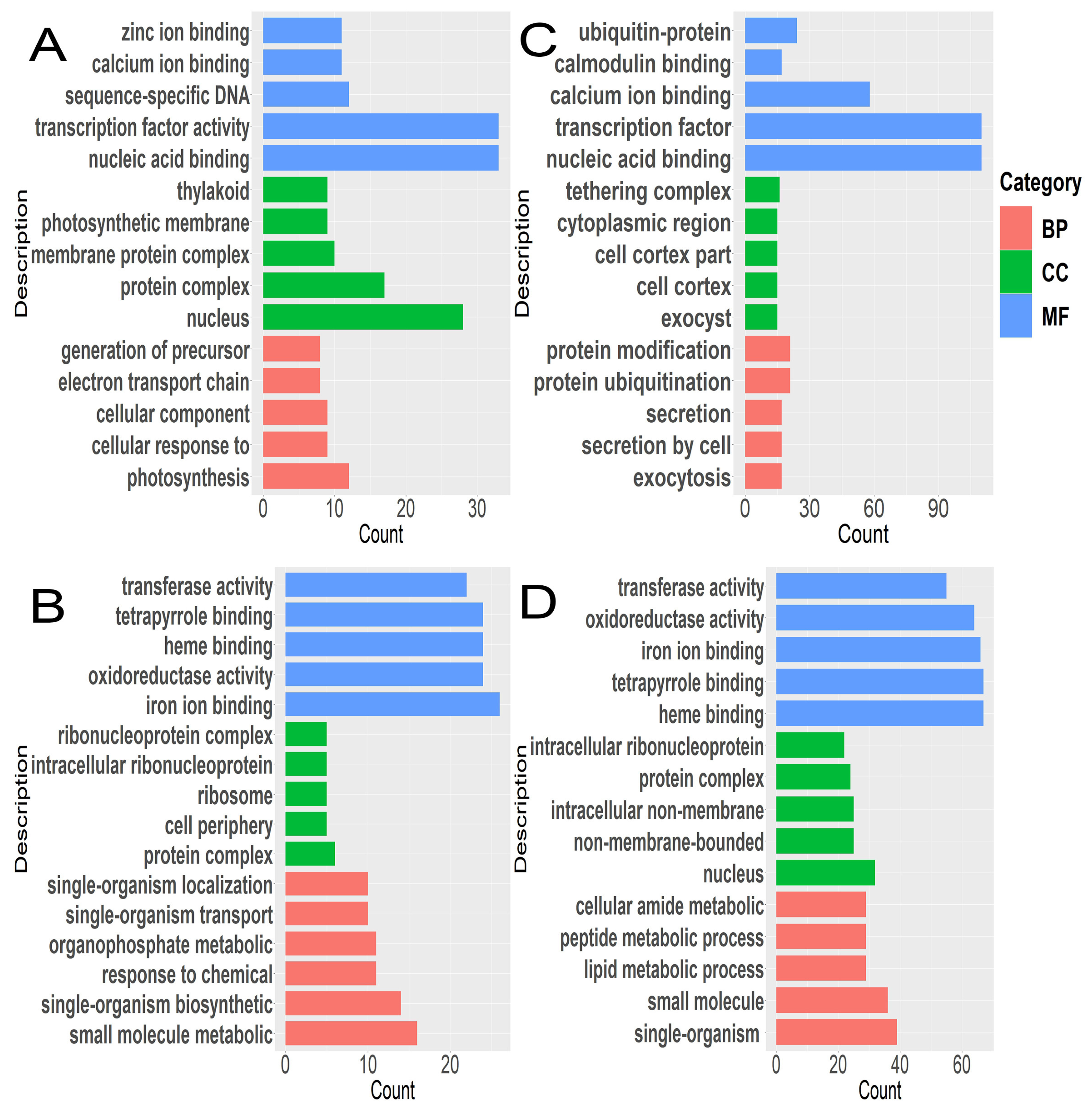 Genes 14 02098 g004 Genes 14 02098 g004