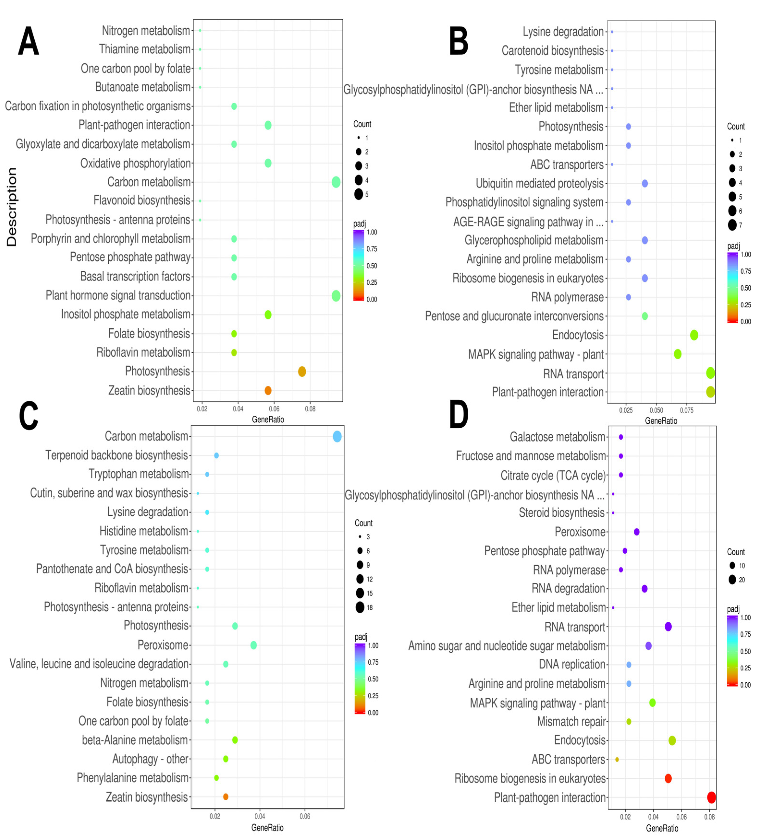 Genes 14 02098 g005 Genes 14 02098 g005