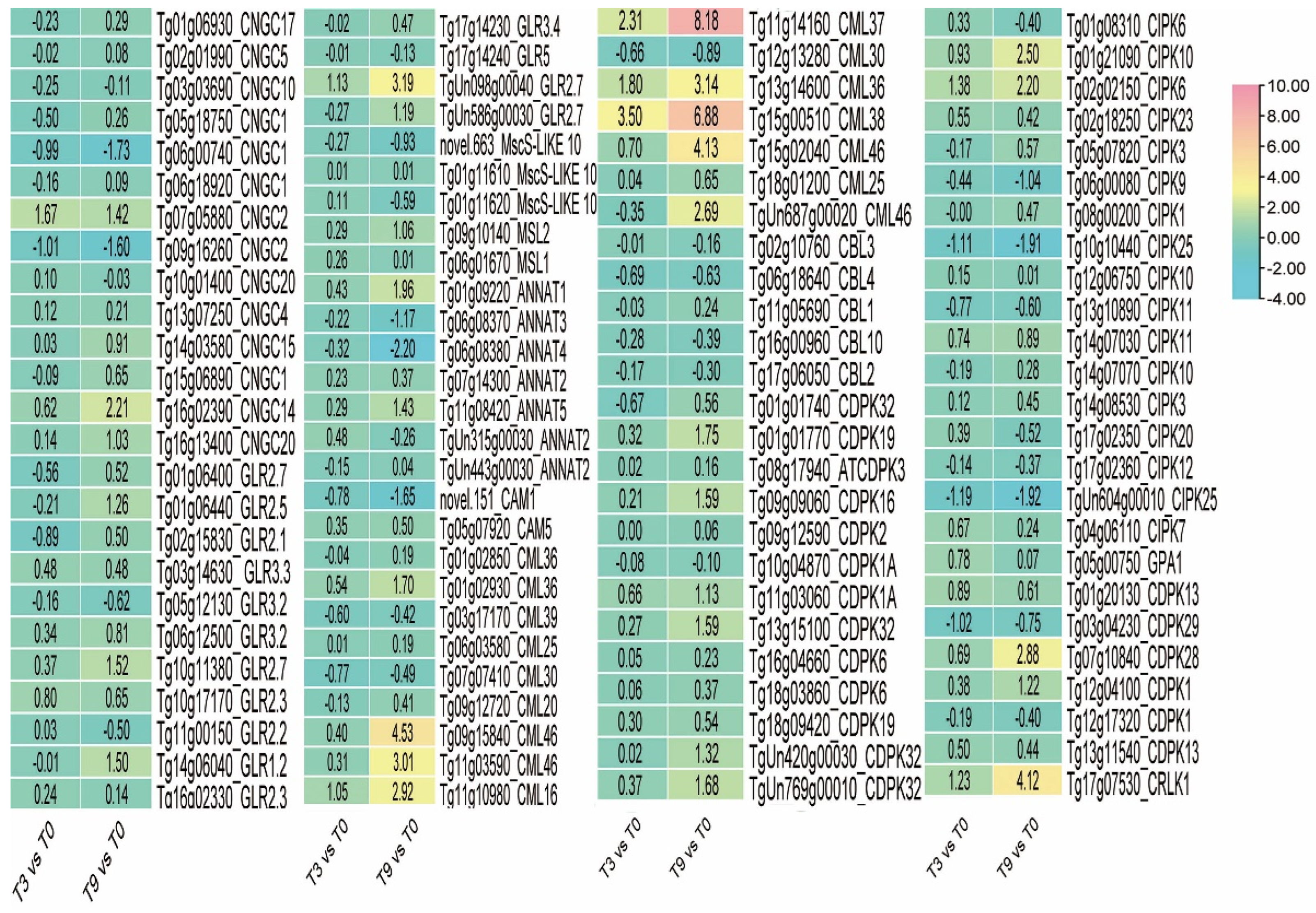 Genes 14 02098 g011 Genes 14 02098 g011
