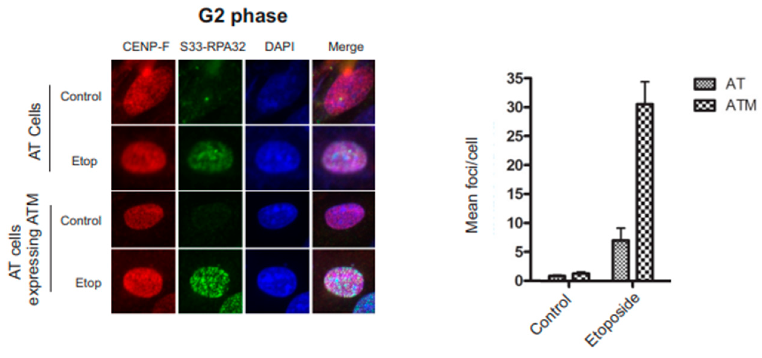Genes 14 02205 g004