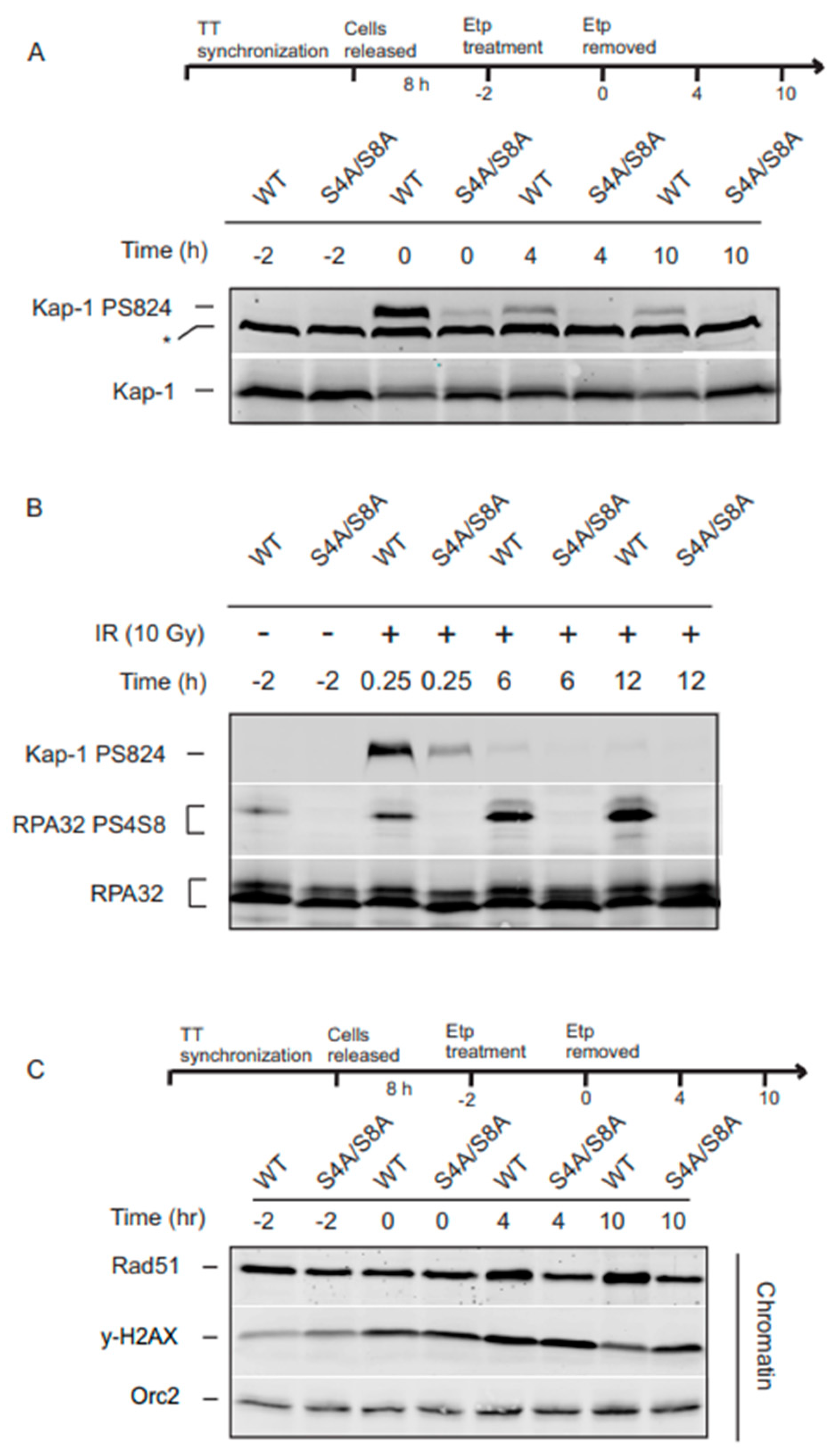 Genes 14 02205 g005