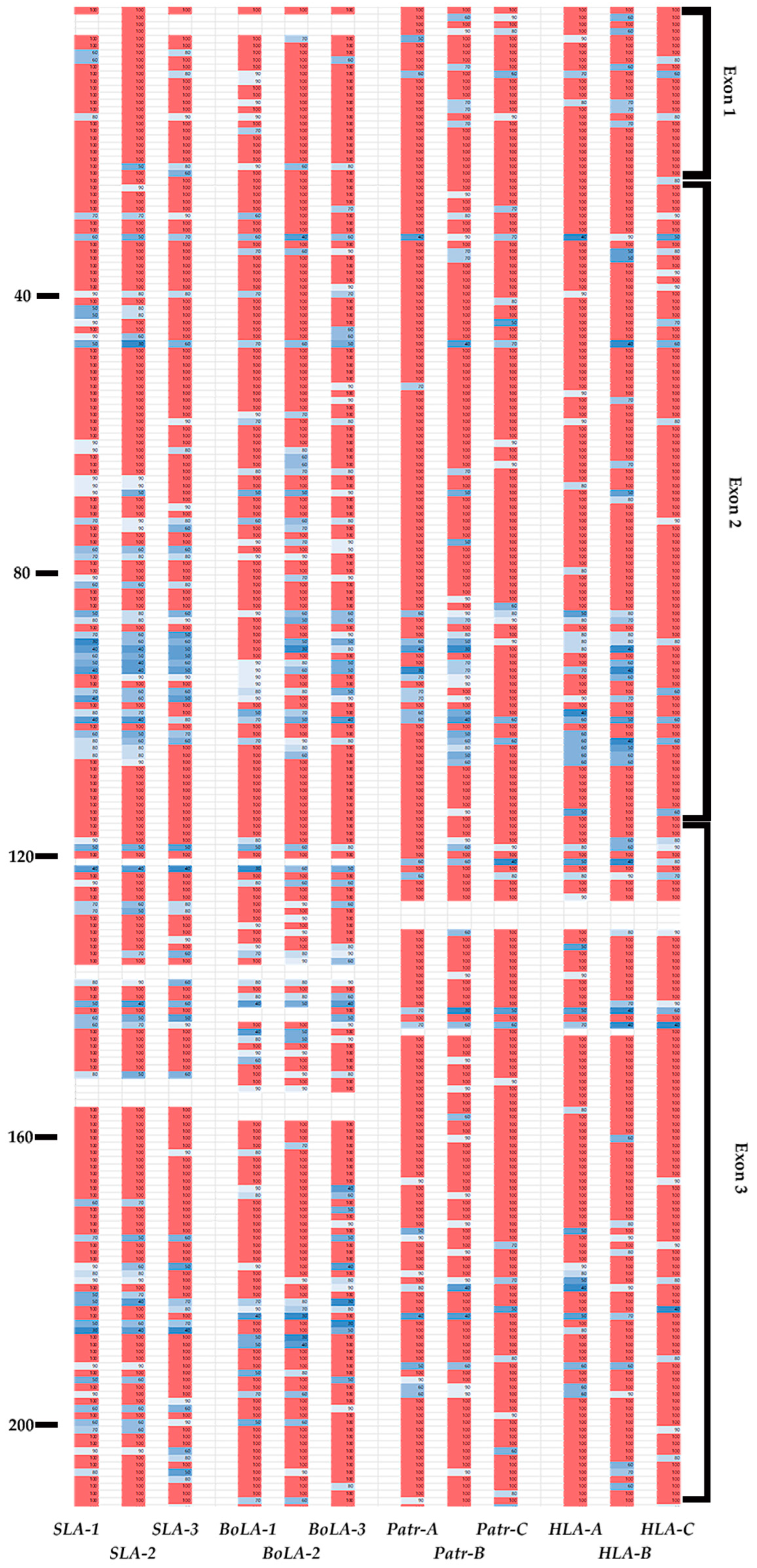 Genes 15 00007 g004a