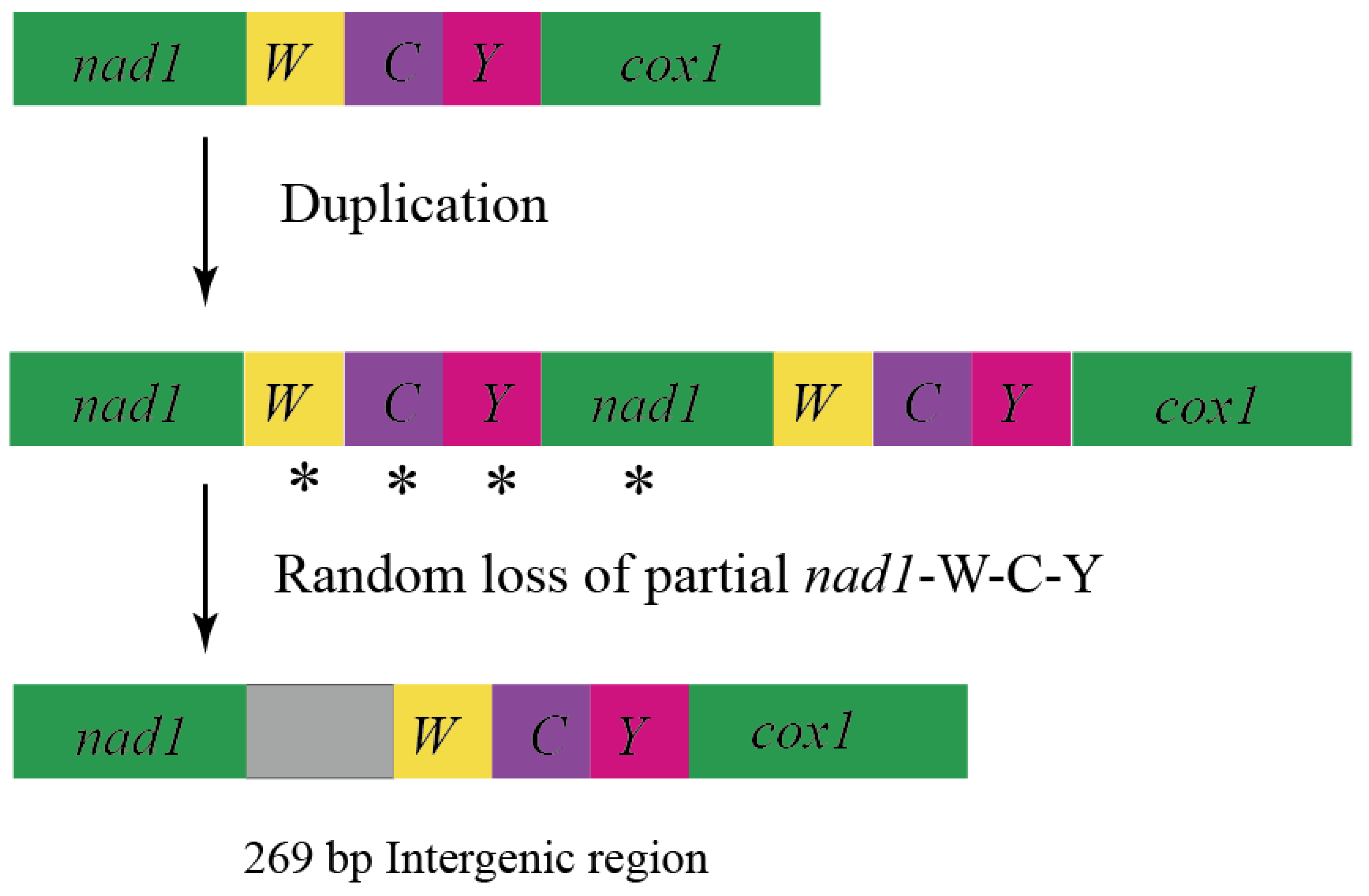 Genes 15 00013 g002