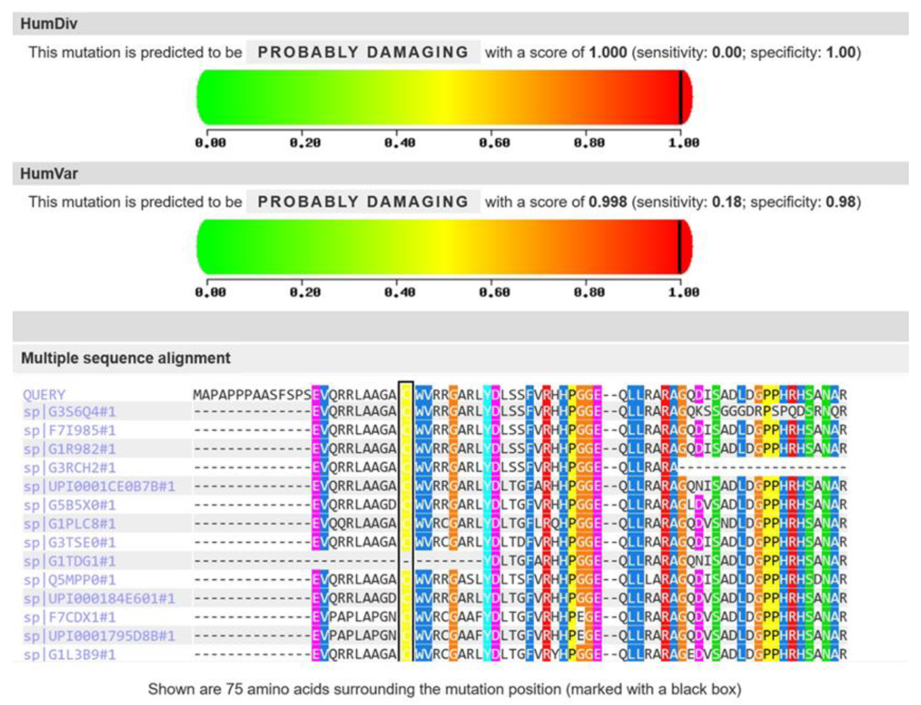 Genes 15 00014 g003