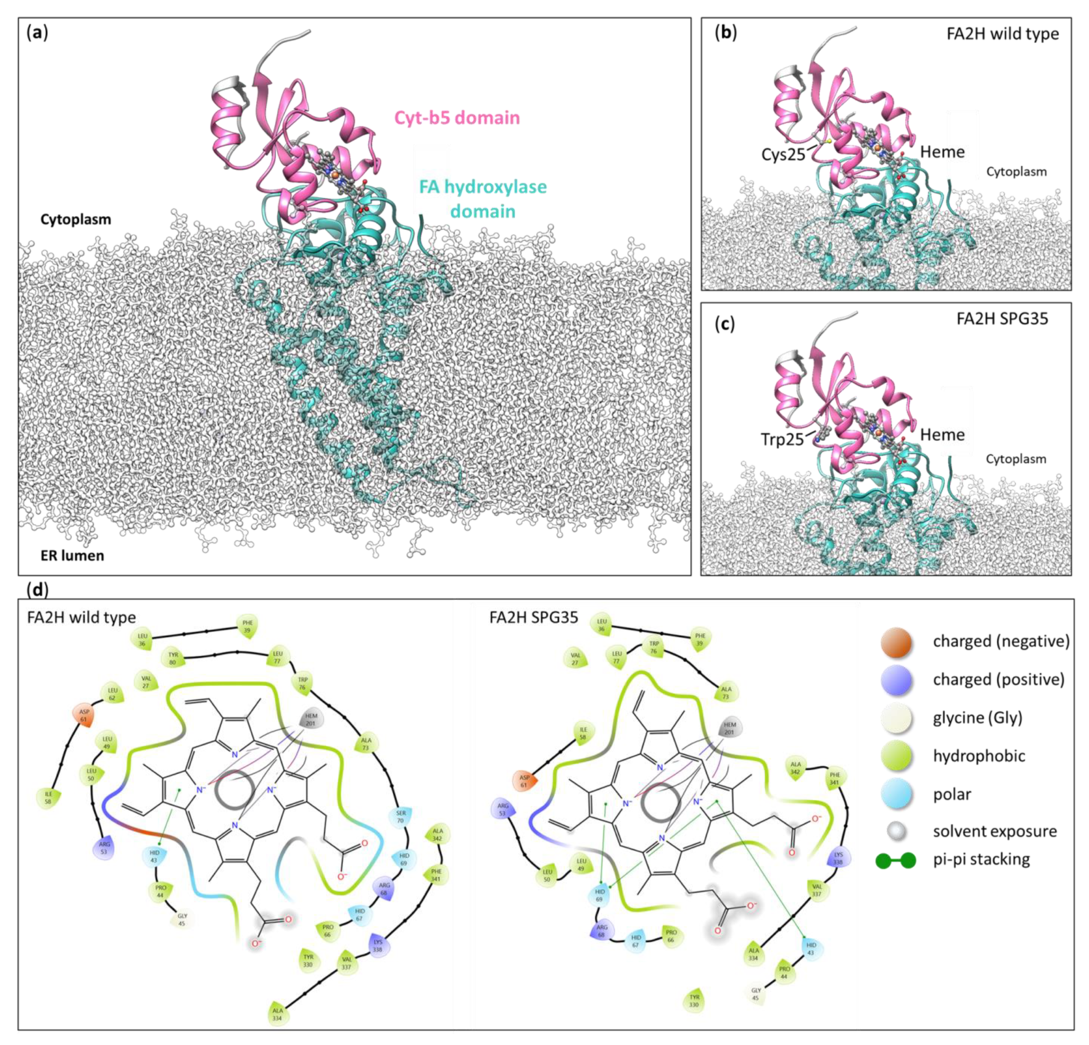 Genes 15 00014 g004
