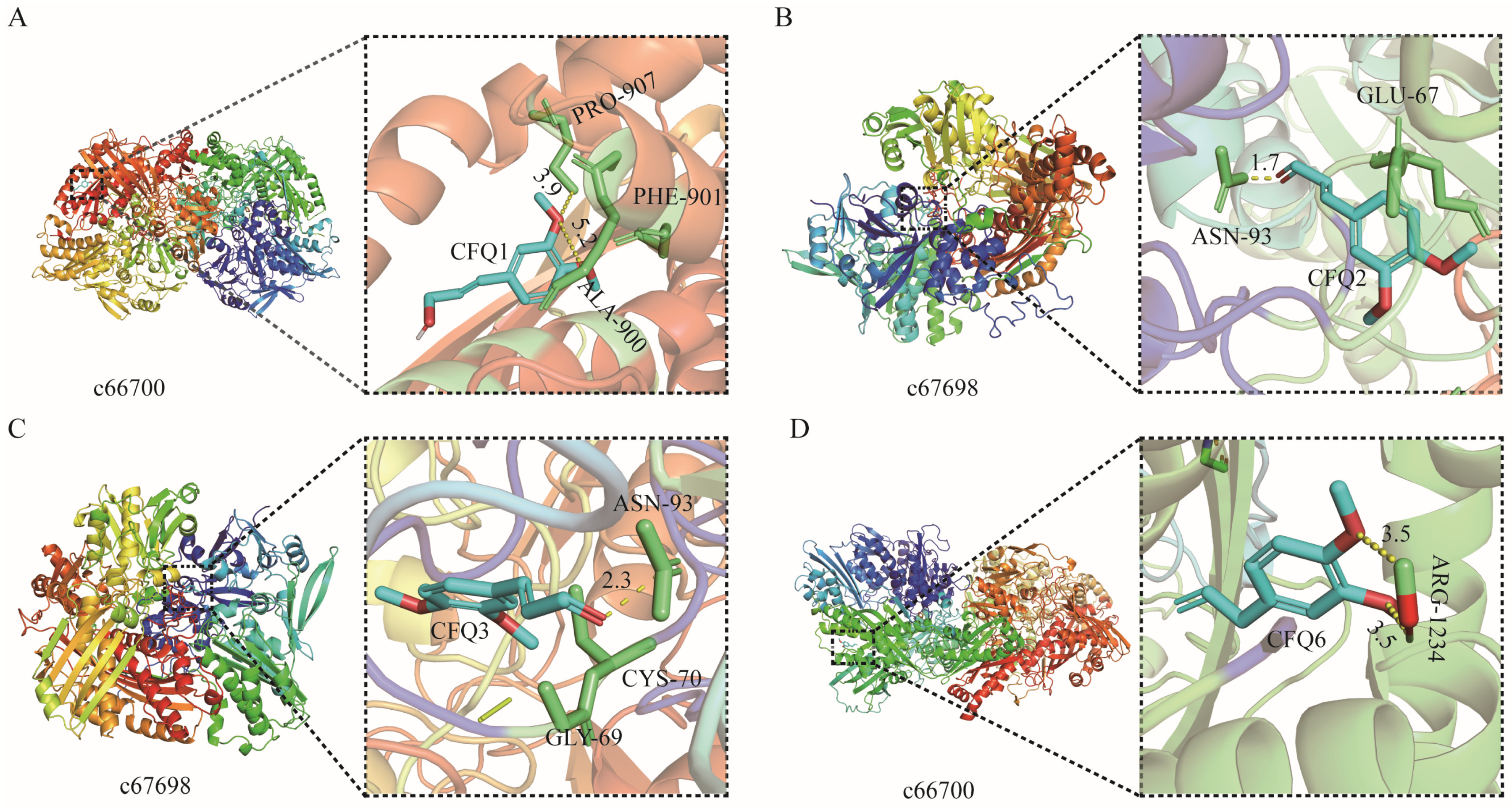Genes 15 00035 g003