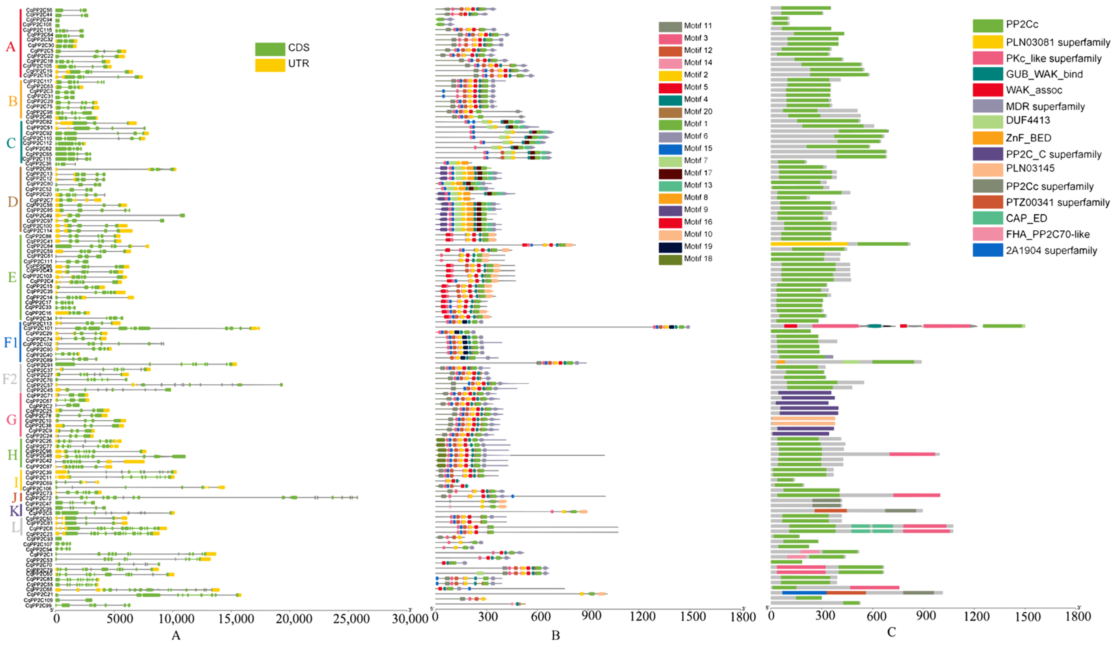 Genes 15 00041 g002