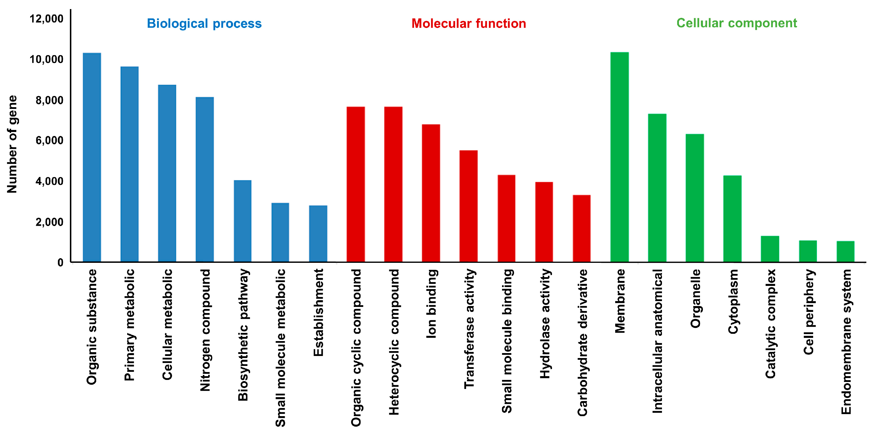 Genes 15 00058 g001 Genes 15 00058 g001