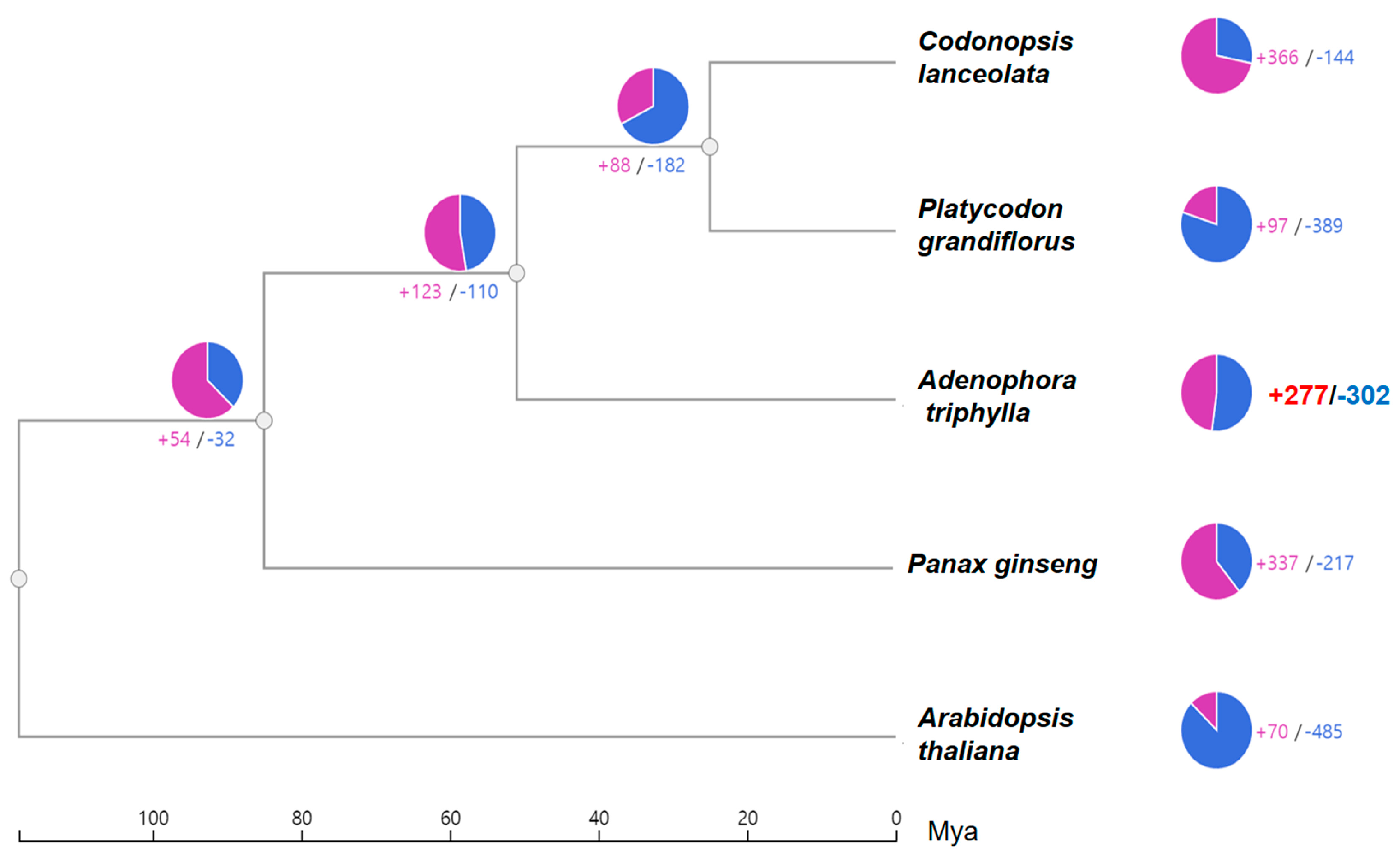 Genes 15 00058 g003 Genes 15 00058 g003