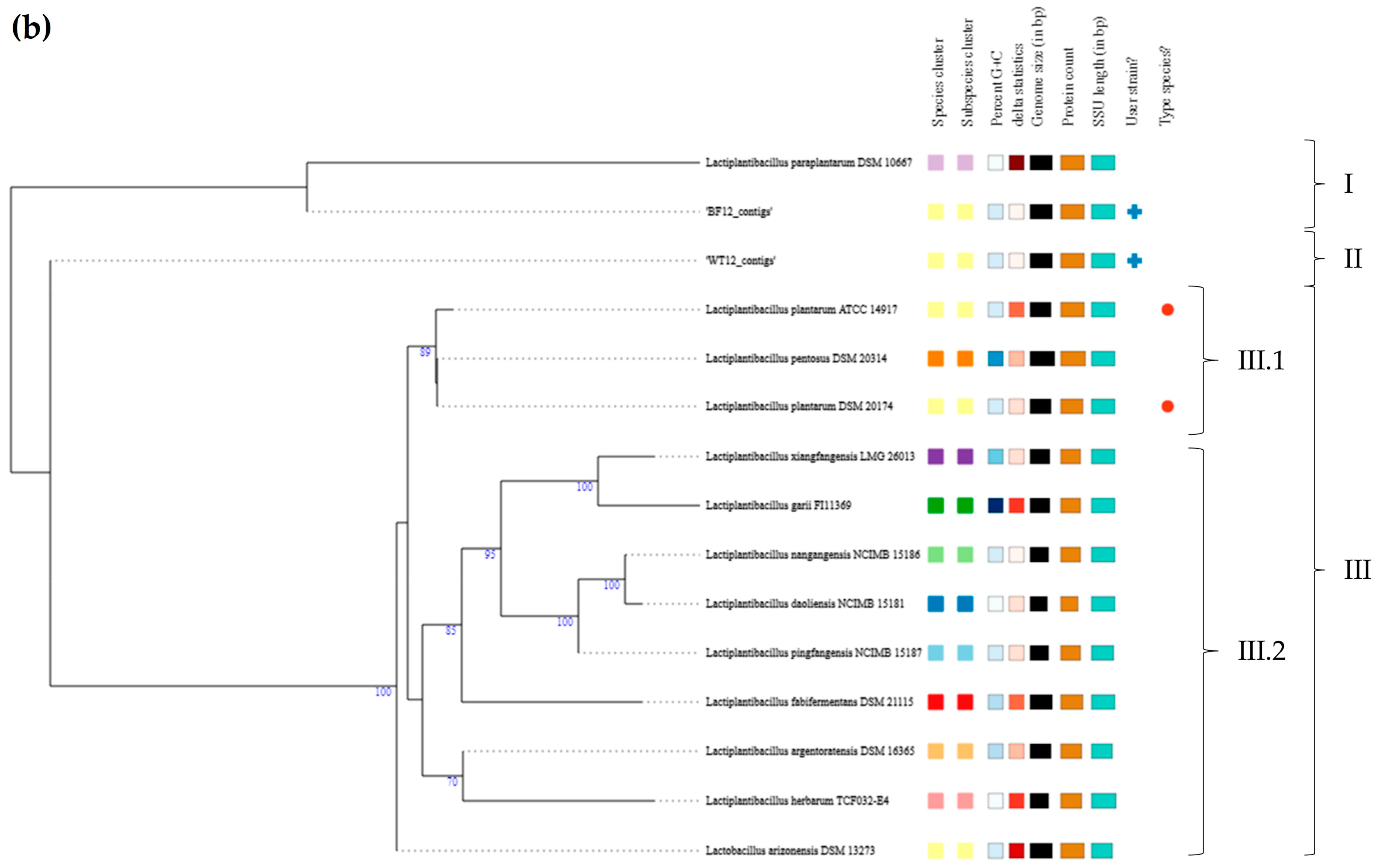Genes 15 00064 g002b Genes 15 00064 g002b
