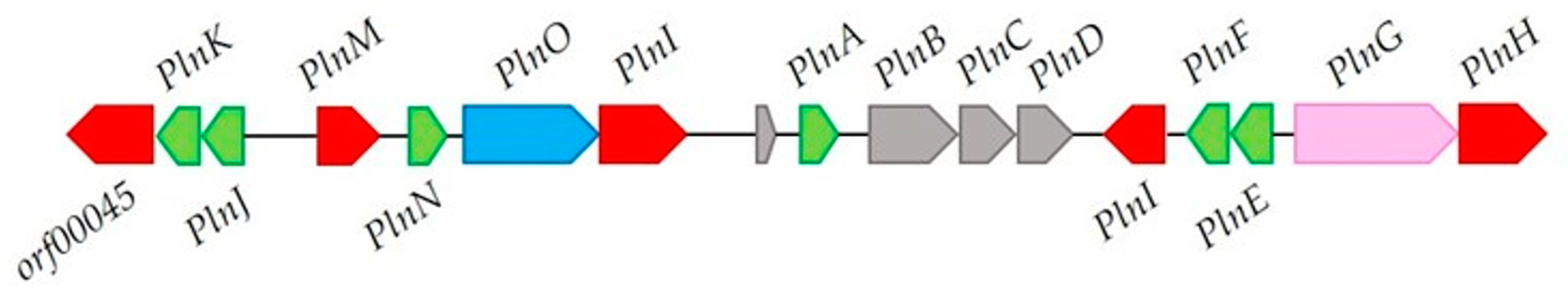 Genes 15 00064 g003 Genes 15 00064 g003