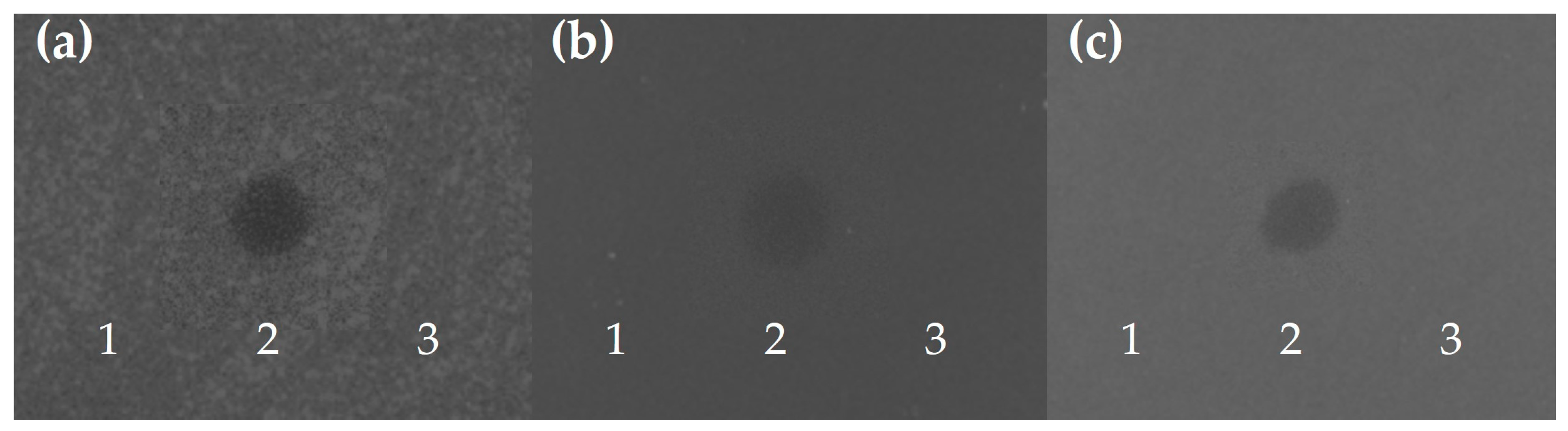 Genes 15 00064 g004 Genes 15 00064 g004