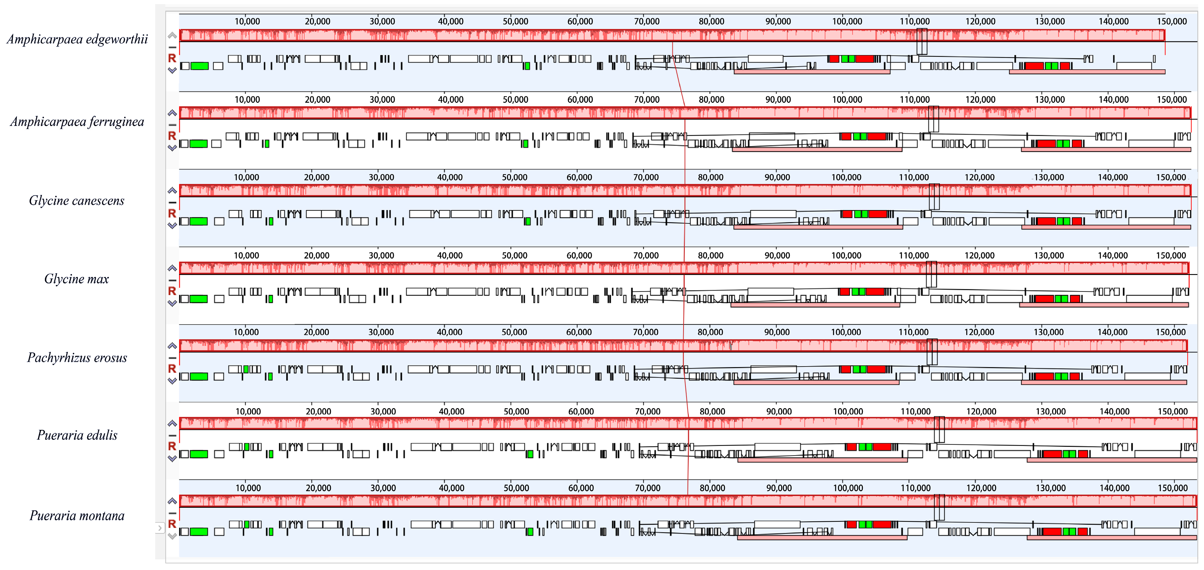 Genes 15 00088 g007