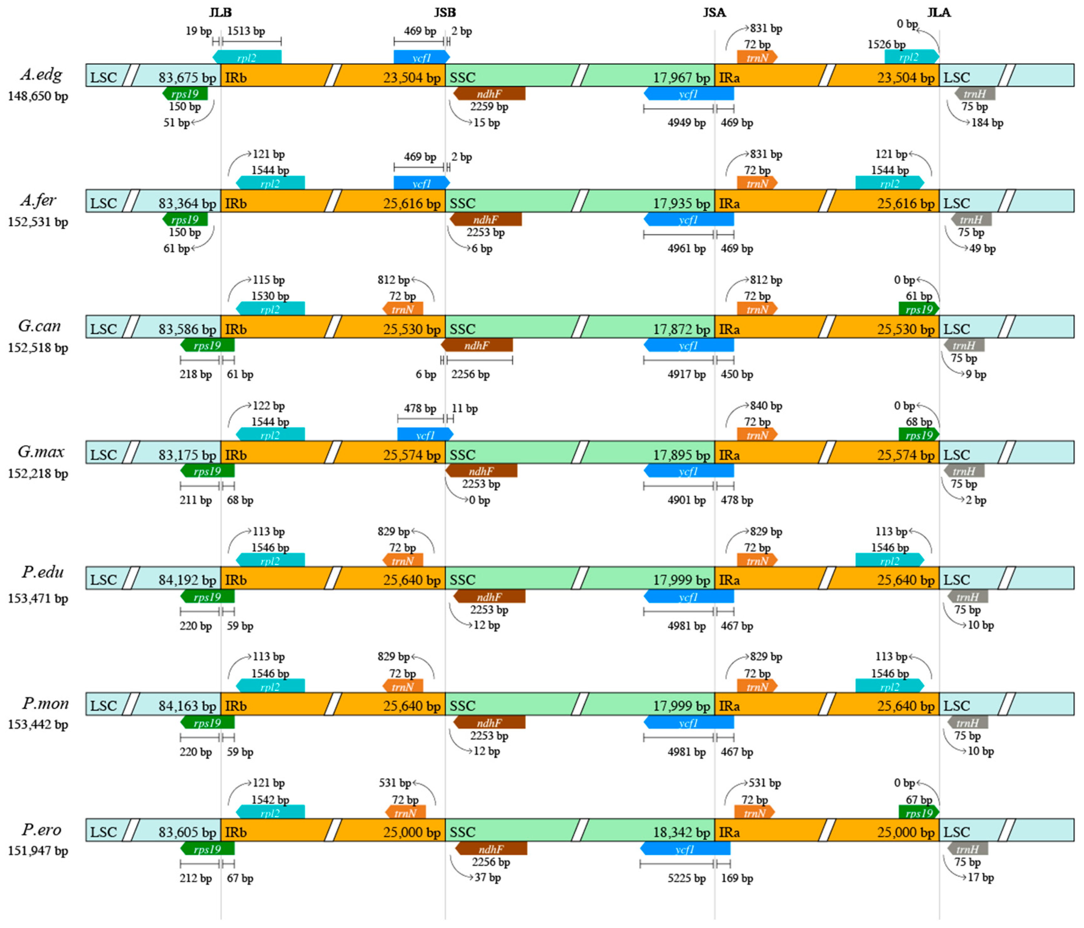 Genes 15 00088 g008