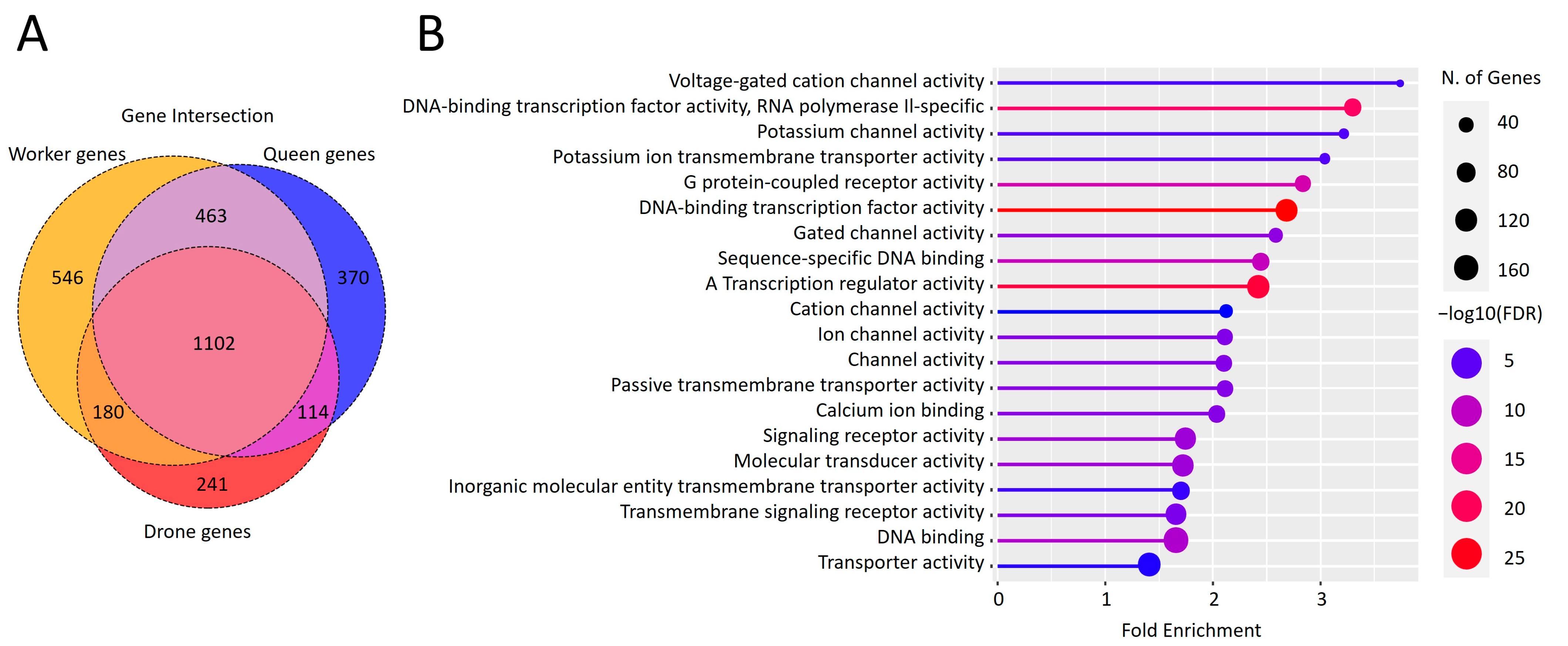 Genes 15 00089 g003