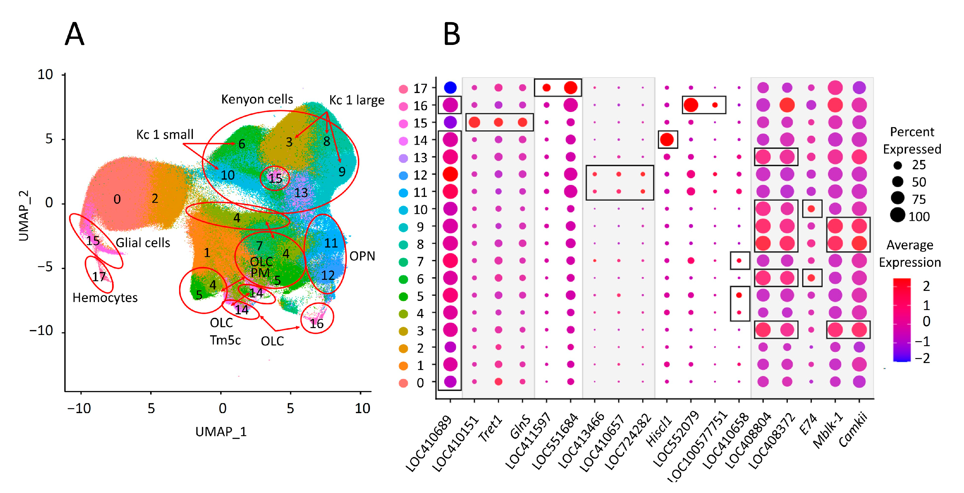Genes 15 00089 g006