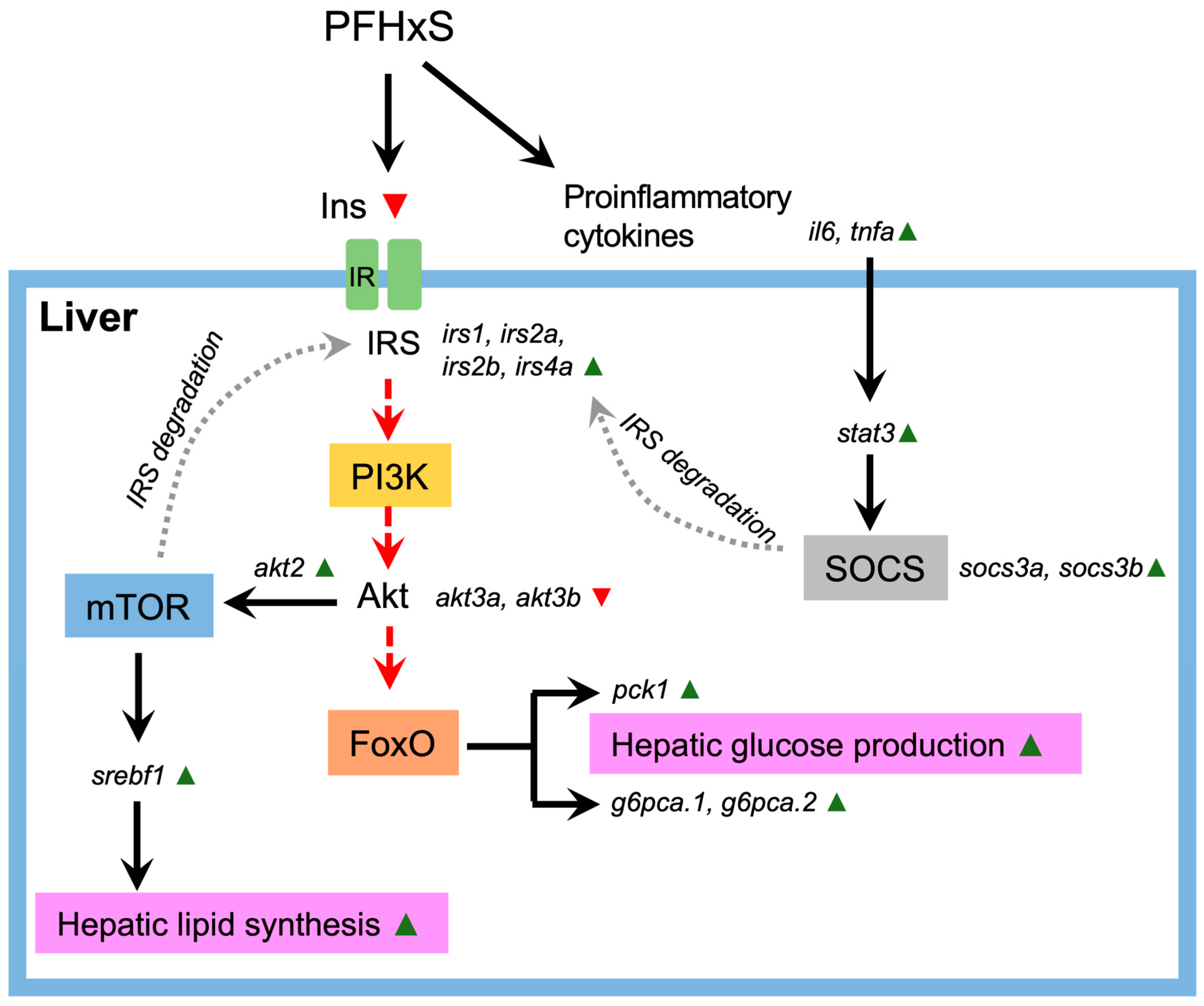 Genes 15 00093 g002