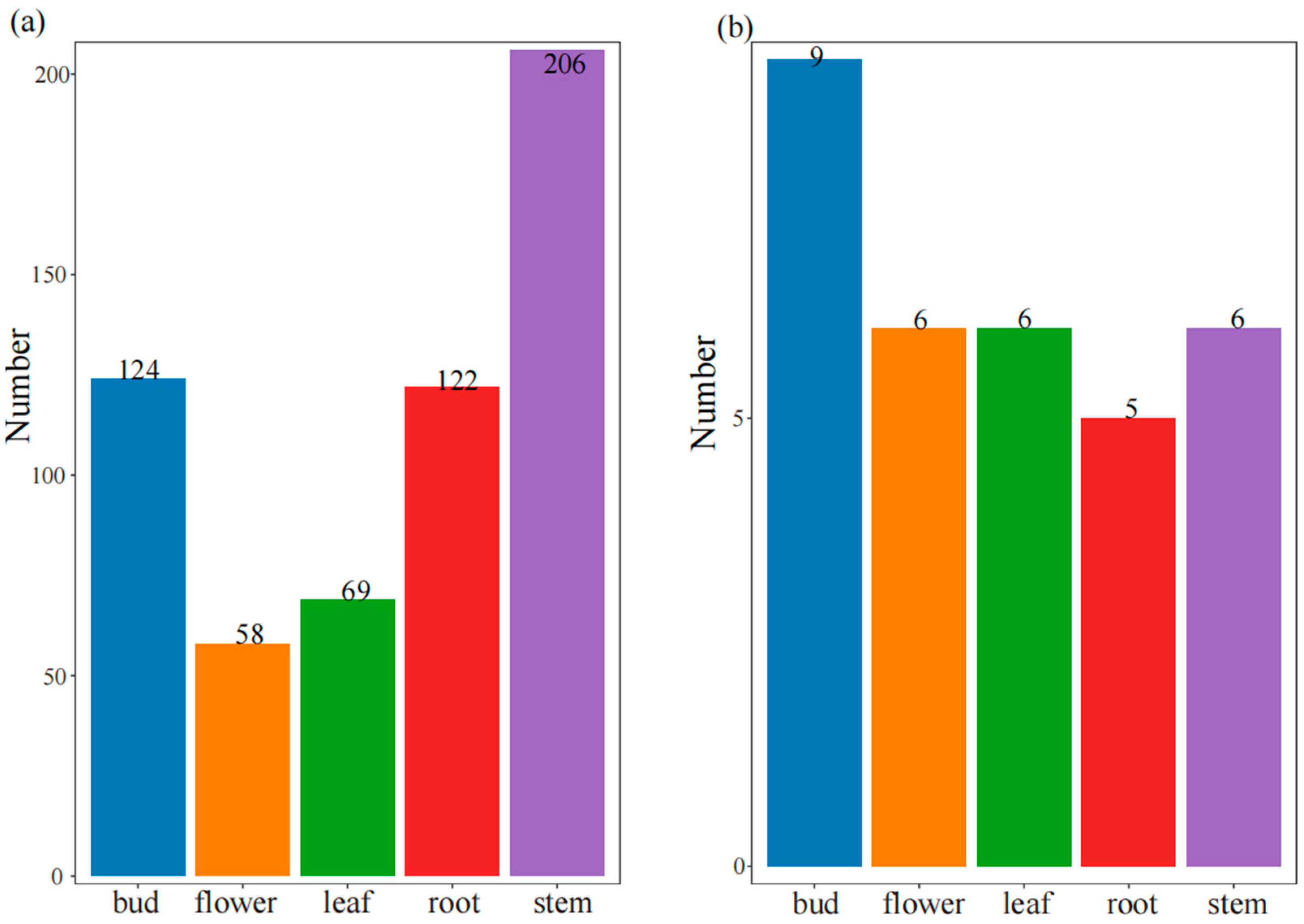 Genes 15 00098 g004 Genes 15 00098 g004