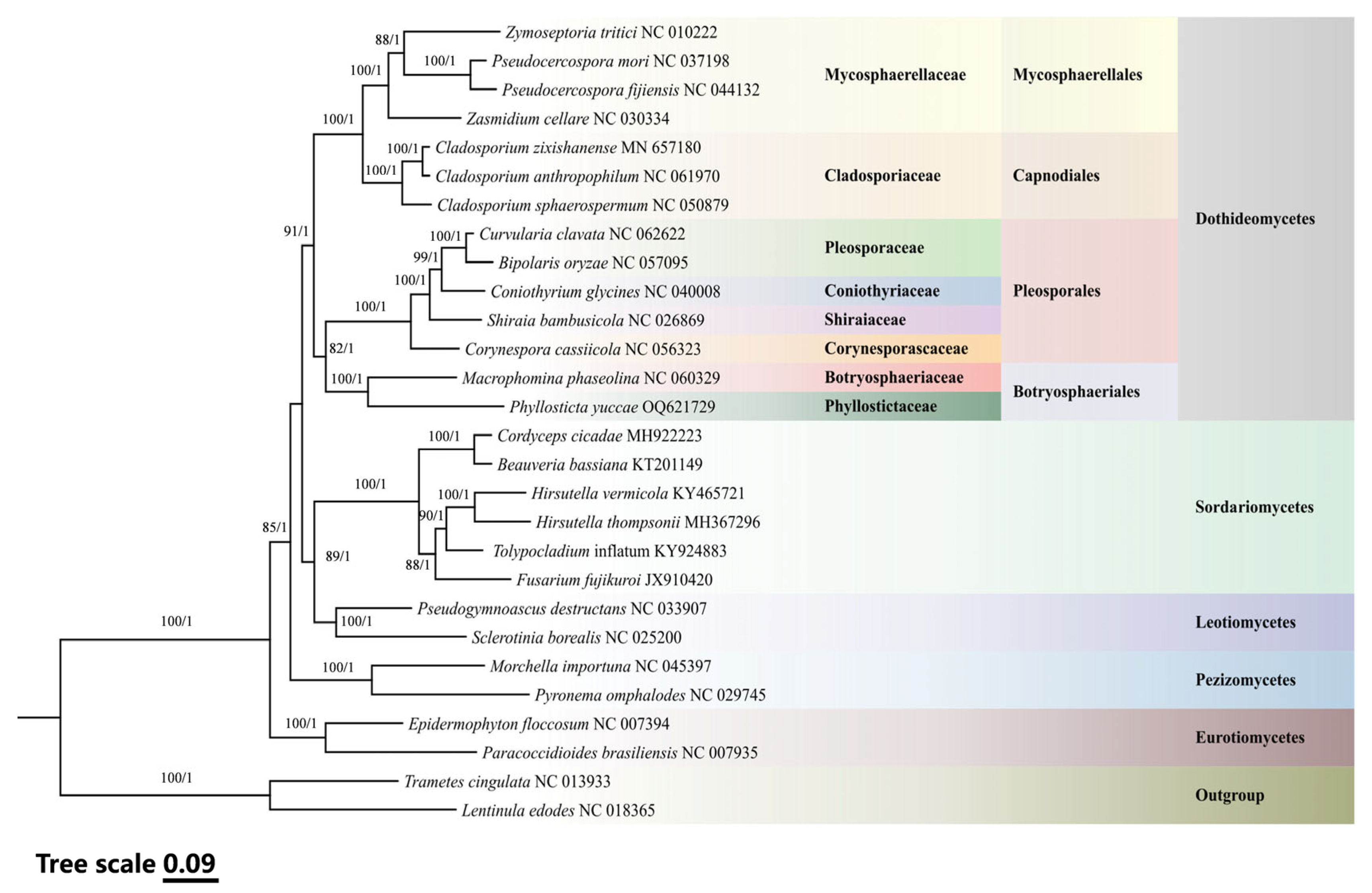 Genes 15 00111 g005