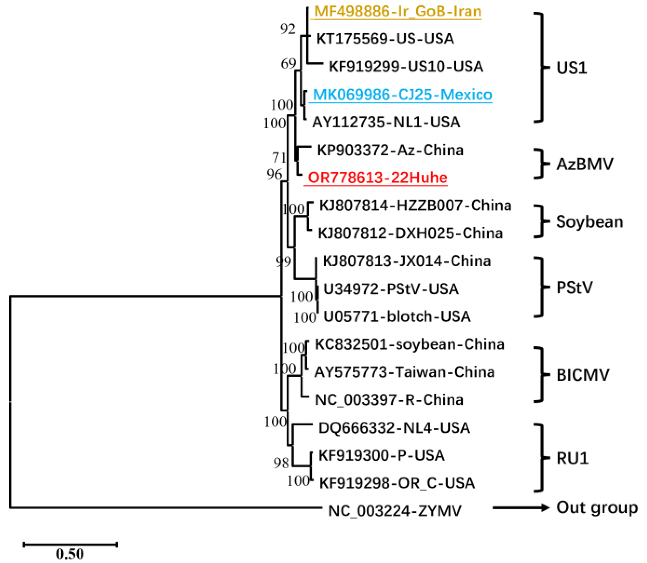 Genes 15 00133 g002