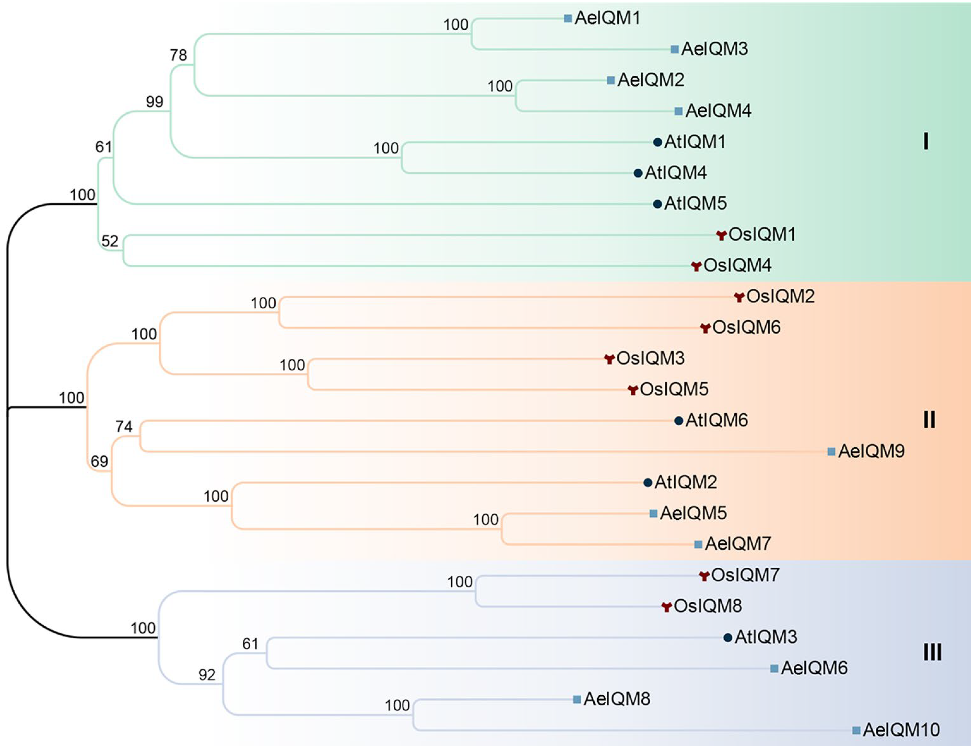 Genes 15 00147 g001 Genes 15 00147 g001