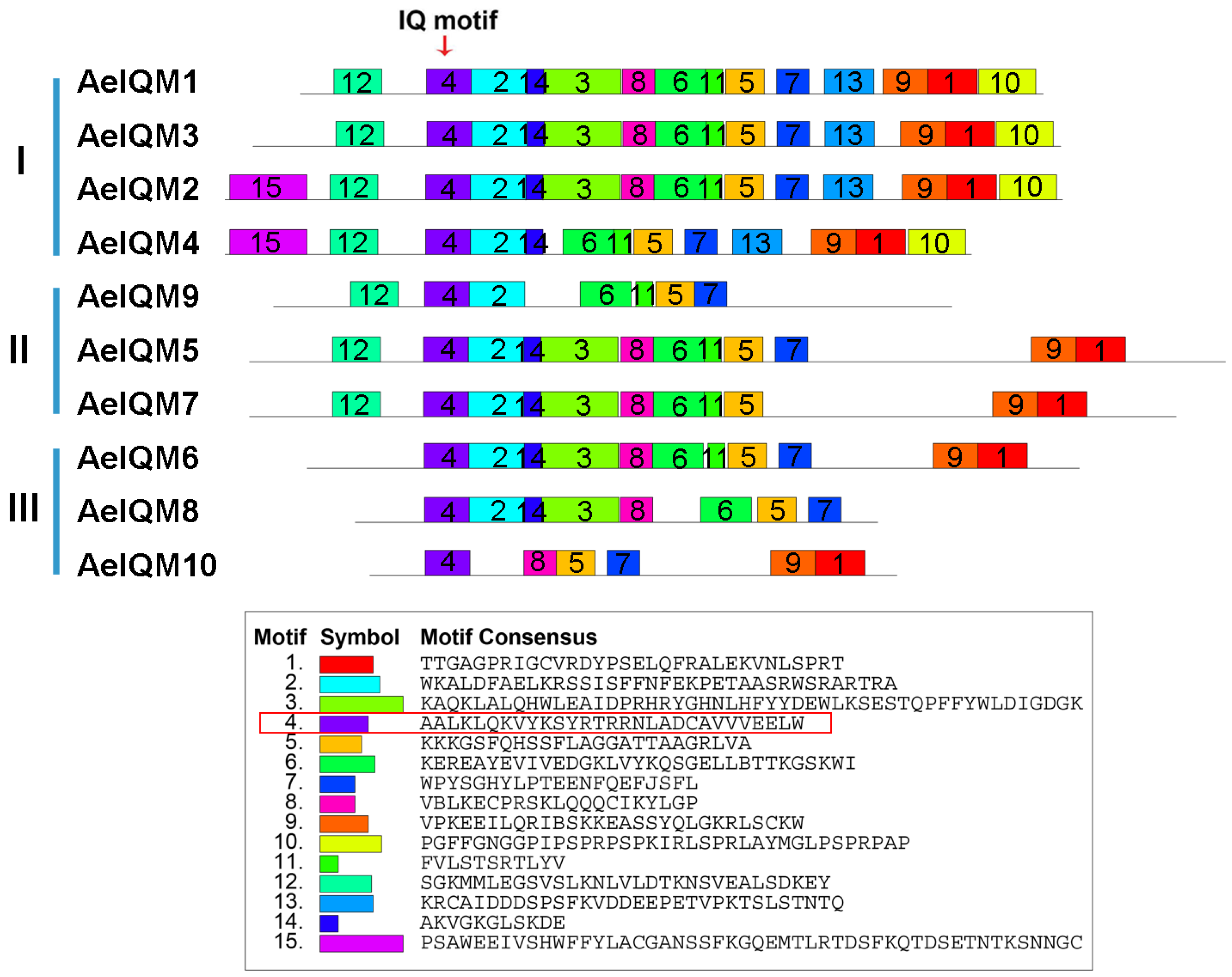 Genes 15 00147 g004 Genes 15 00147 g004