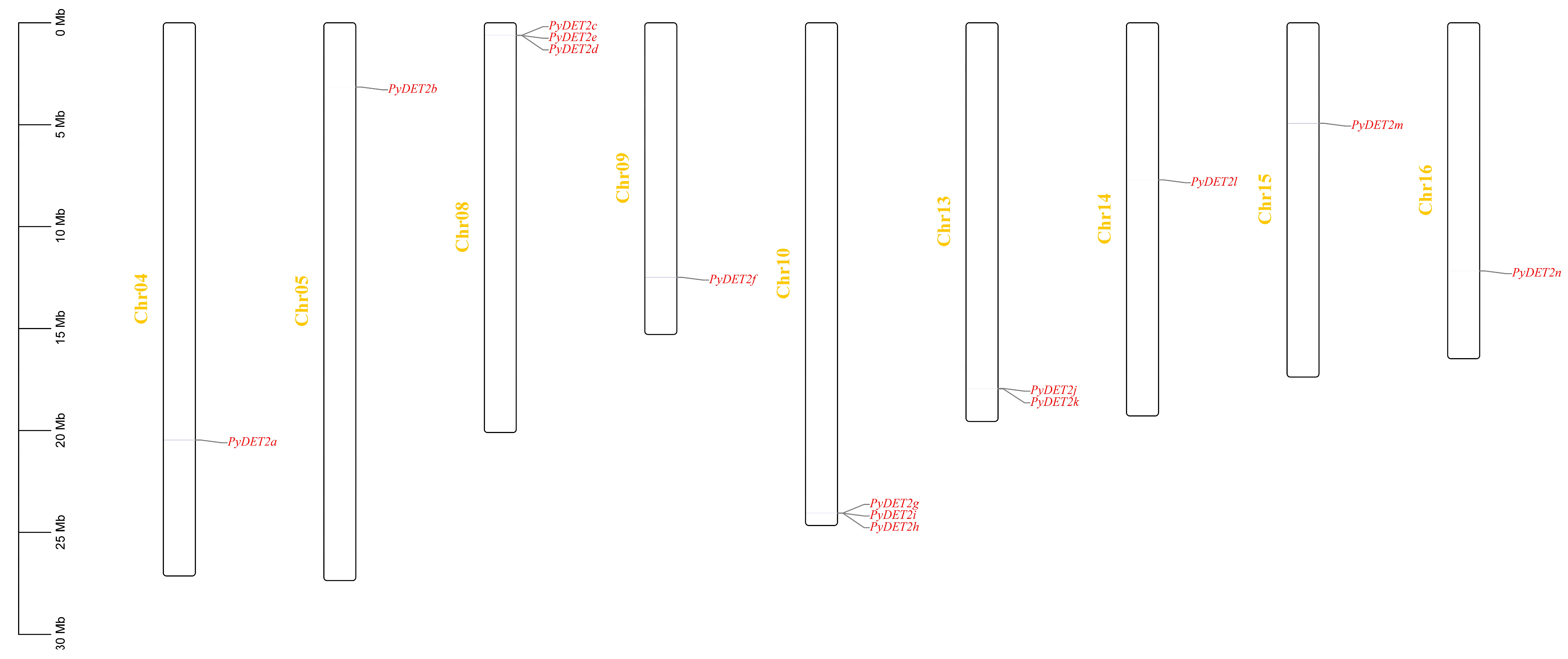 Genes 15 00148 g003