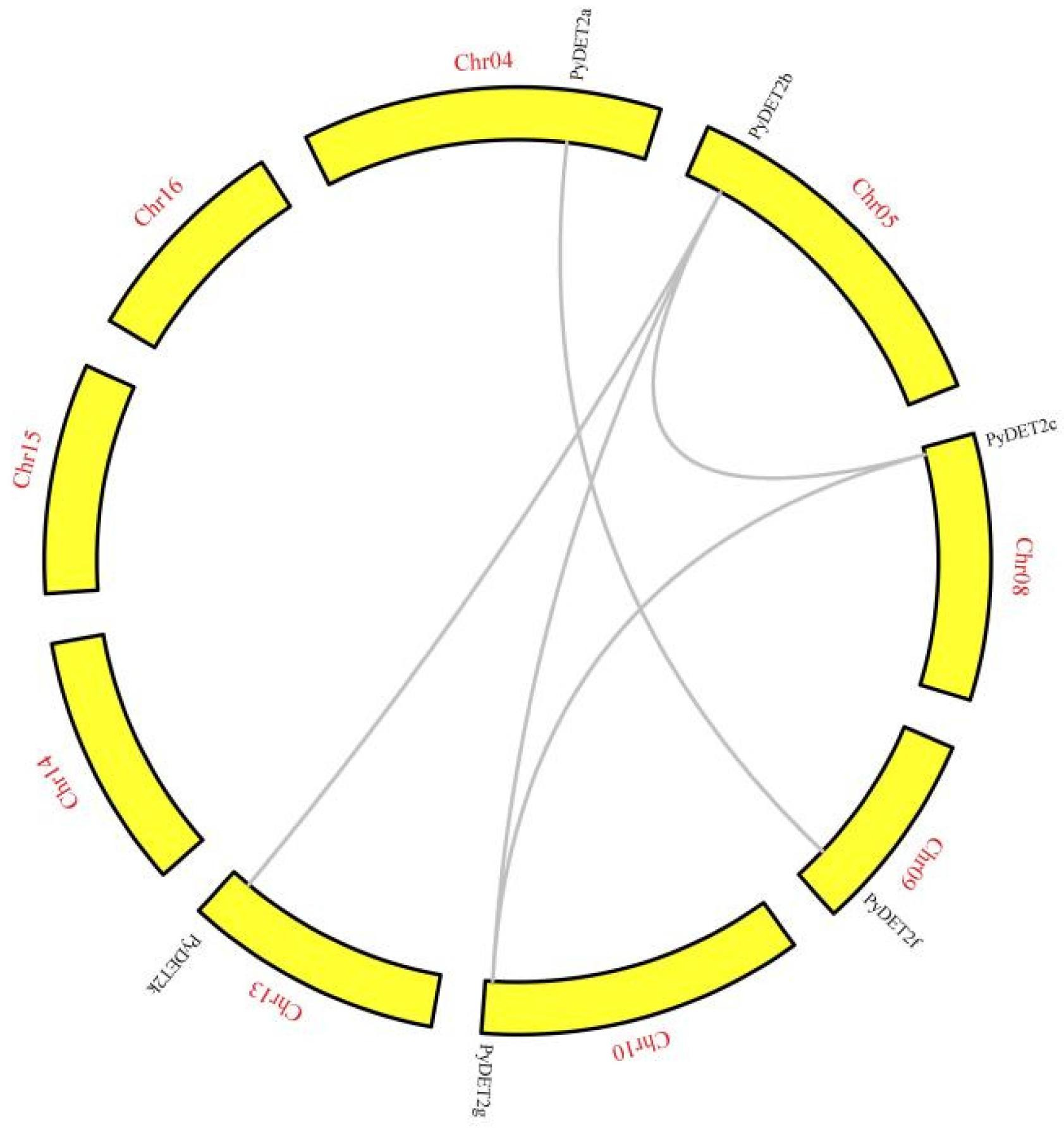 Genes 15 00148 g004