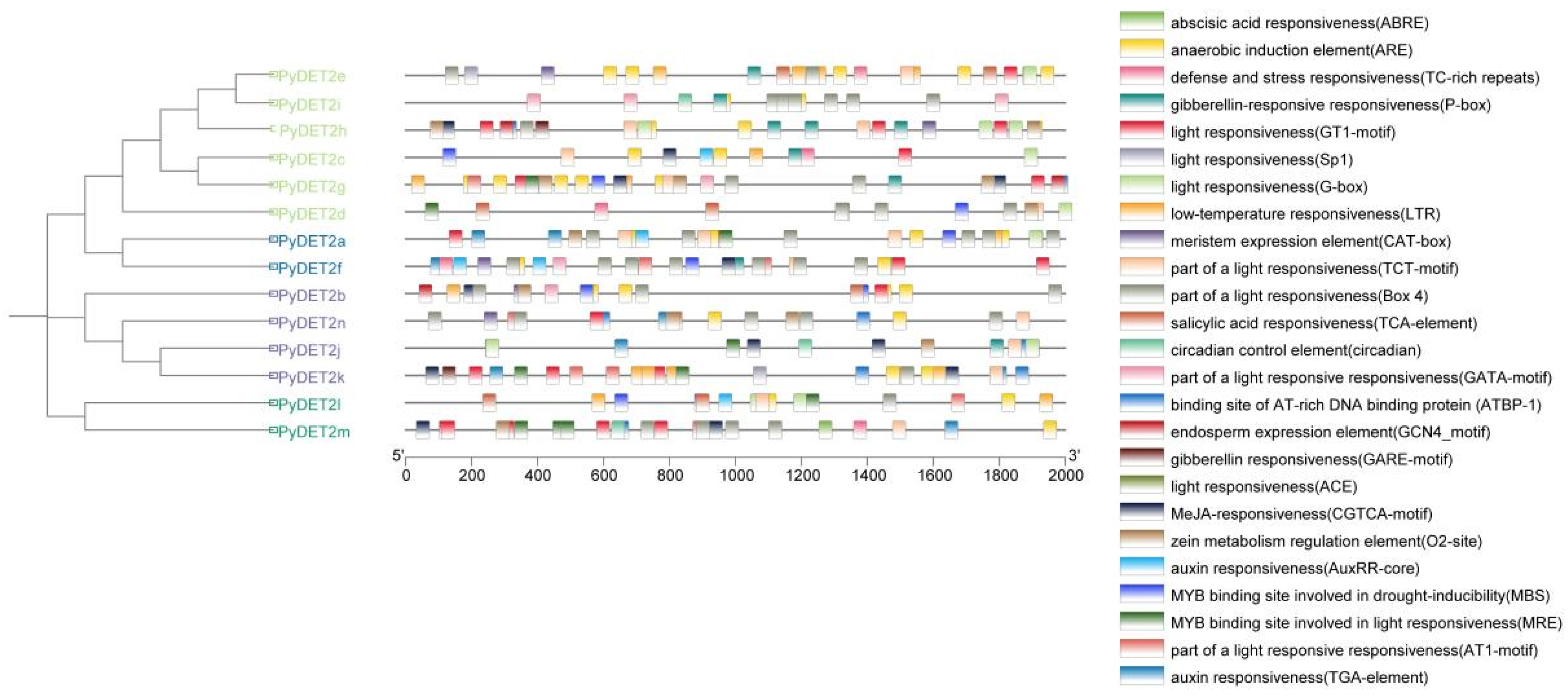 Genes 15 00148 g006