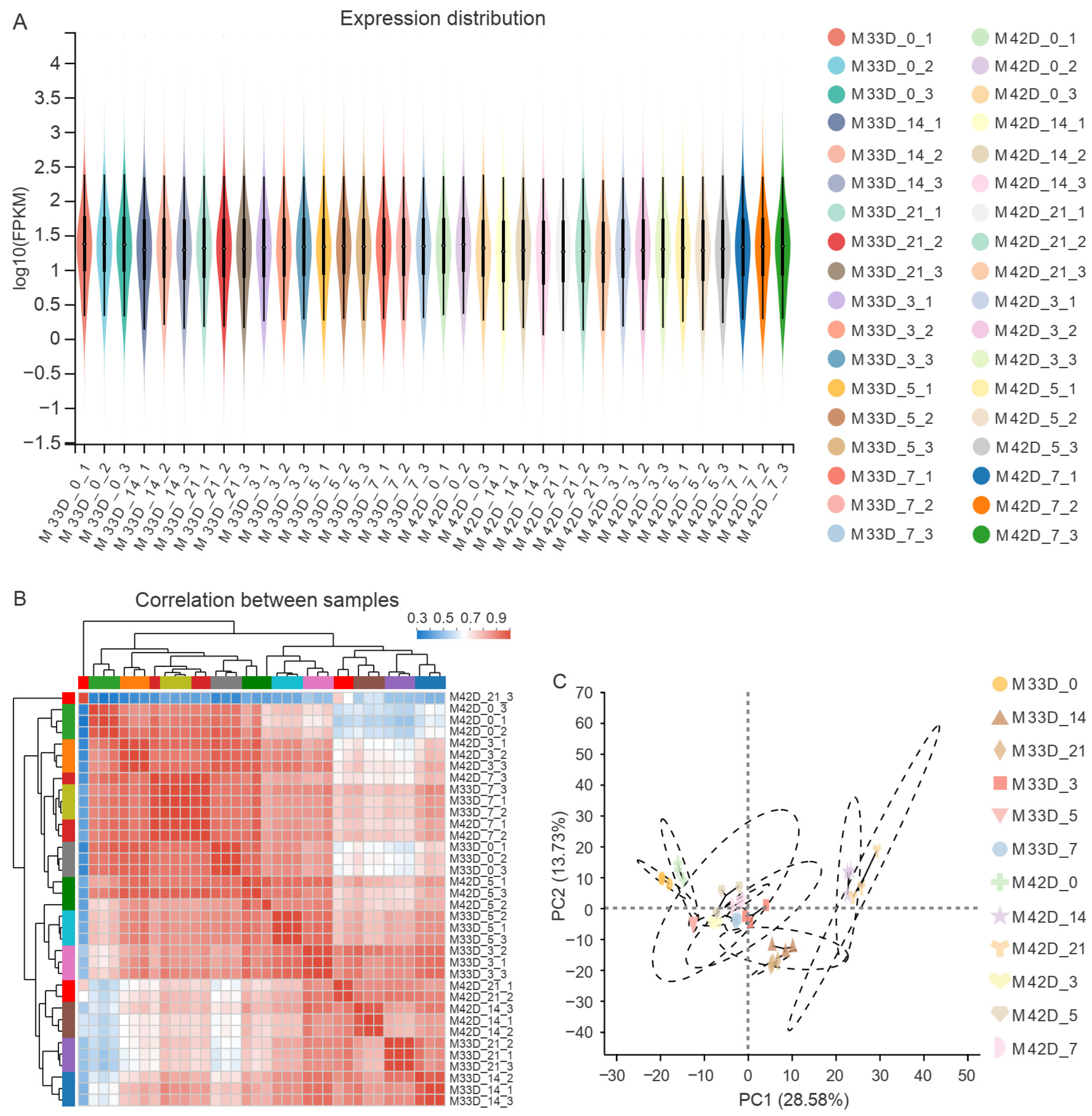 Genes 15 00149 g002