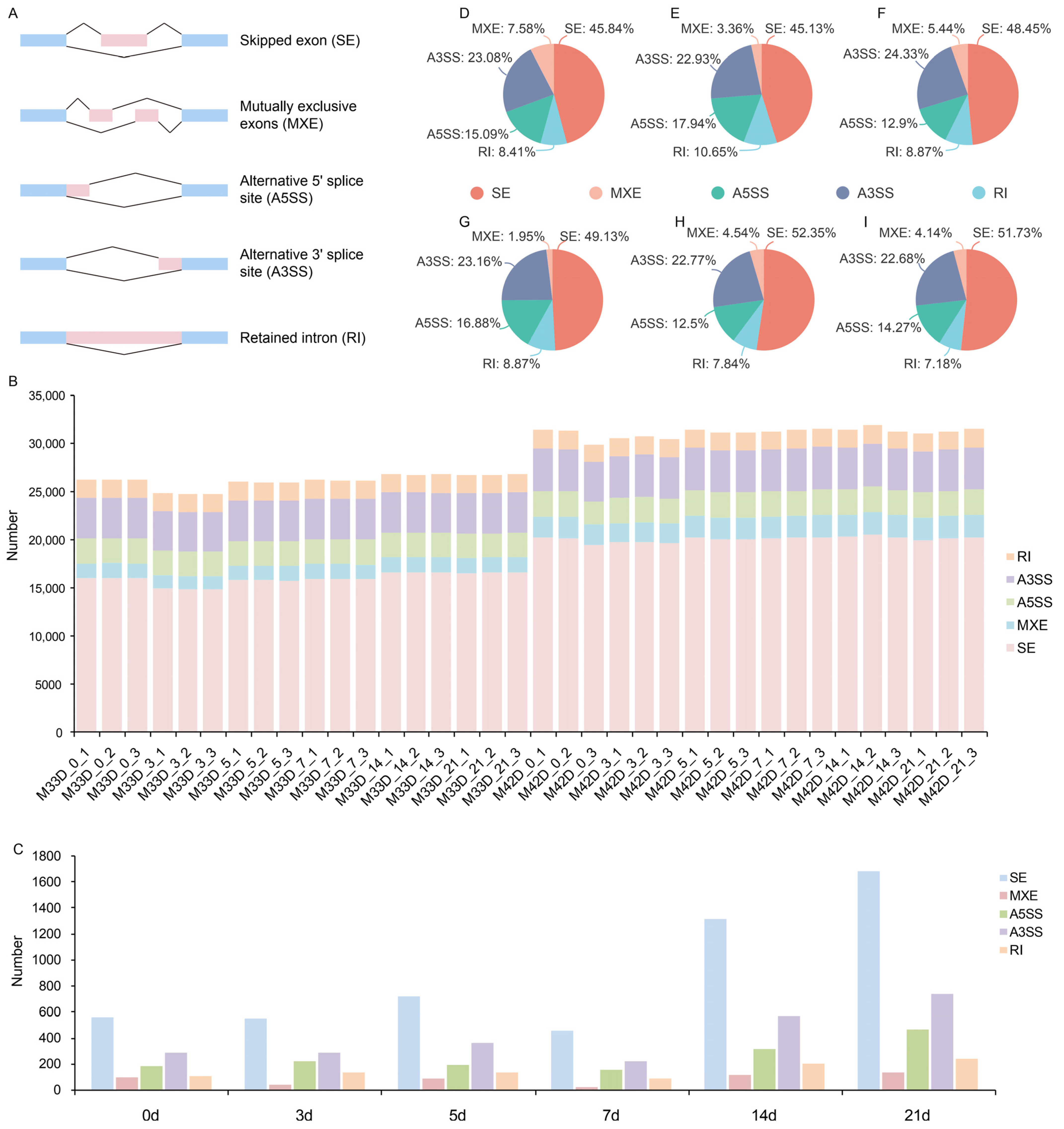 Genes 15 00149 g004
