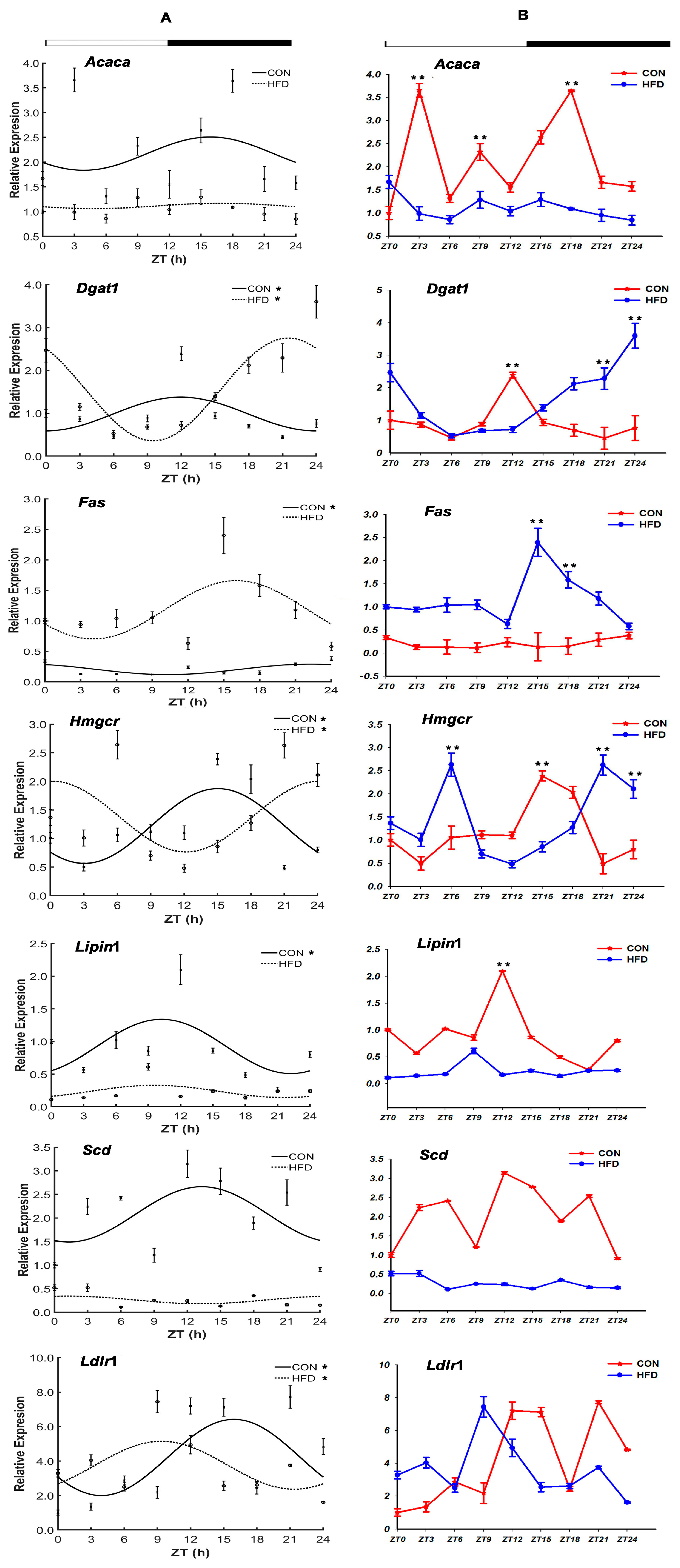 Genes 15 00157 g004