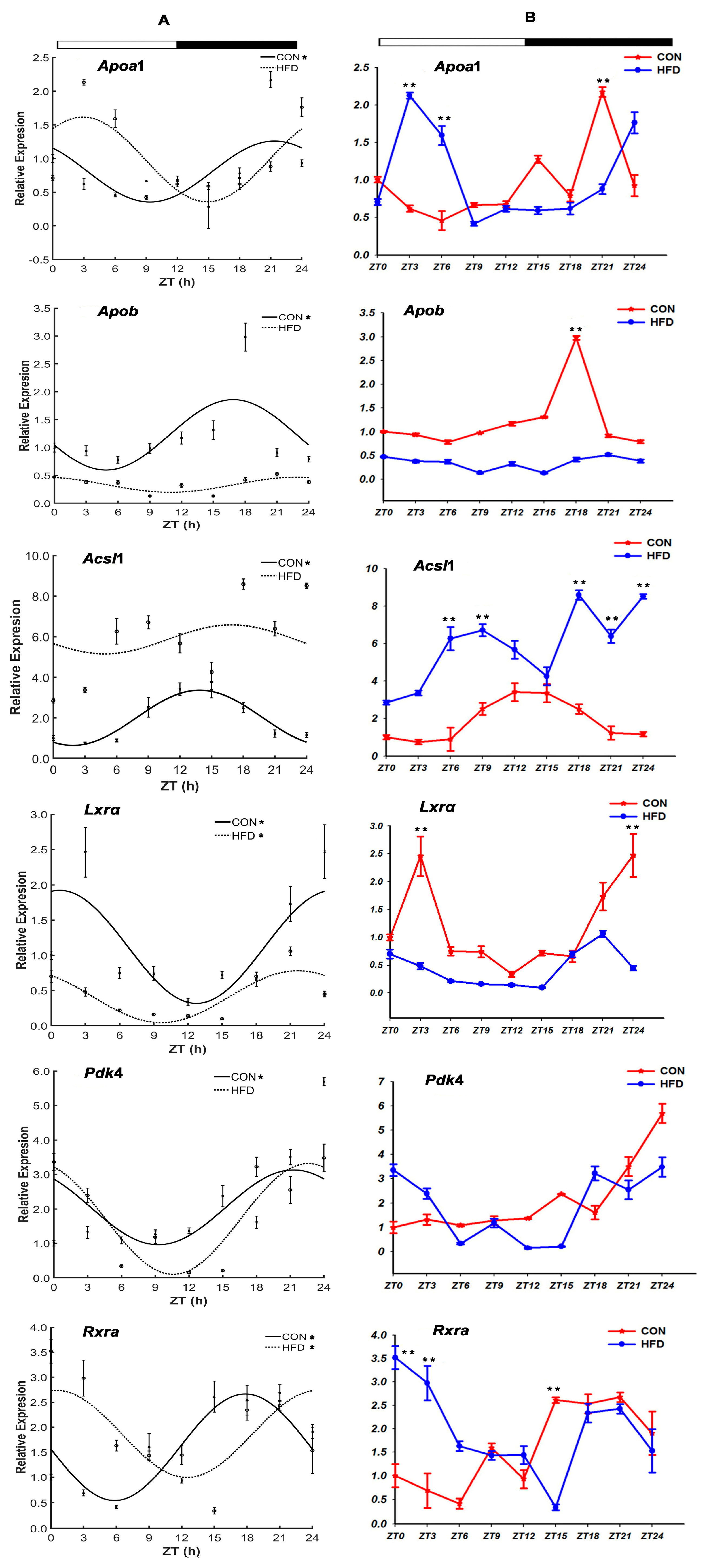 Genes 15 00157 g006