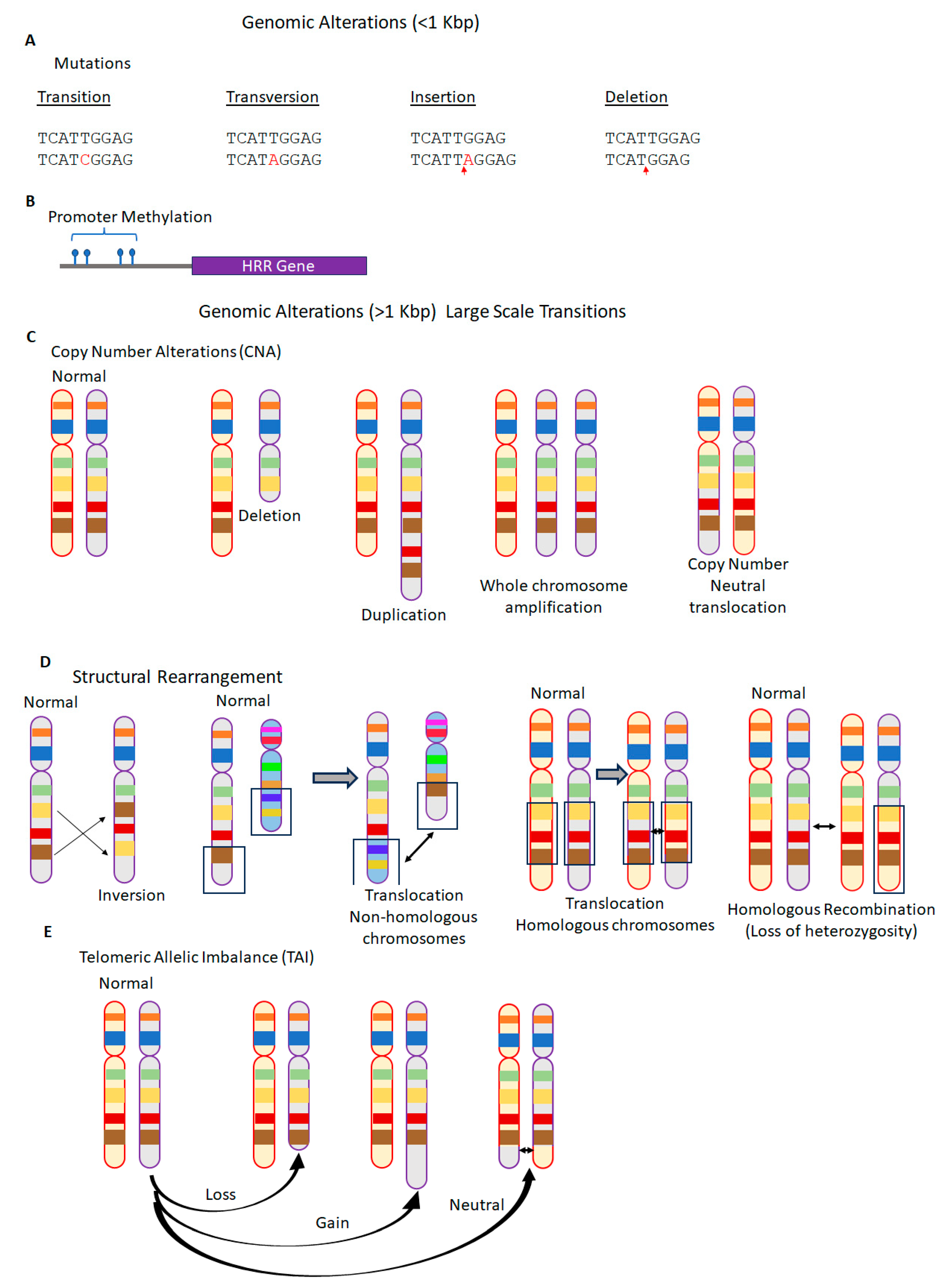 Genes 15 00162 g003