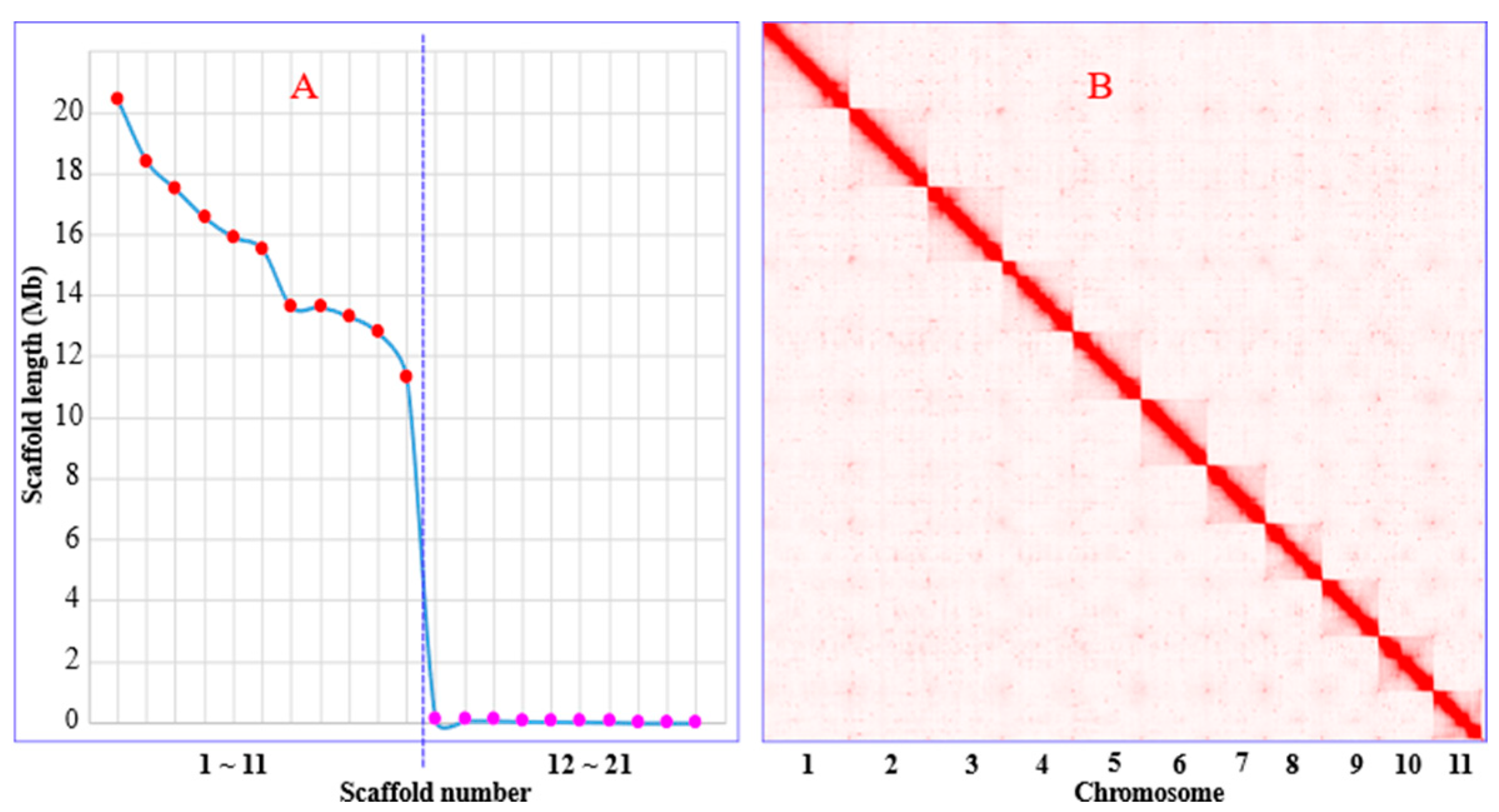 Genes 15 00164 g001