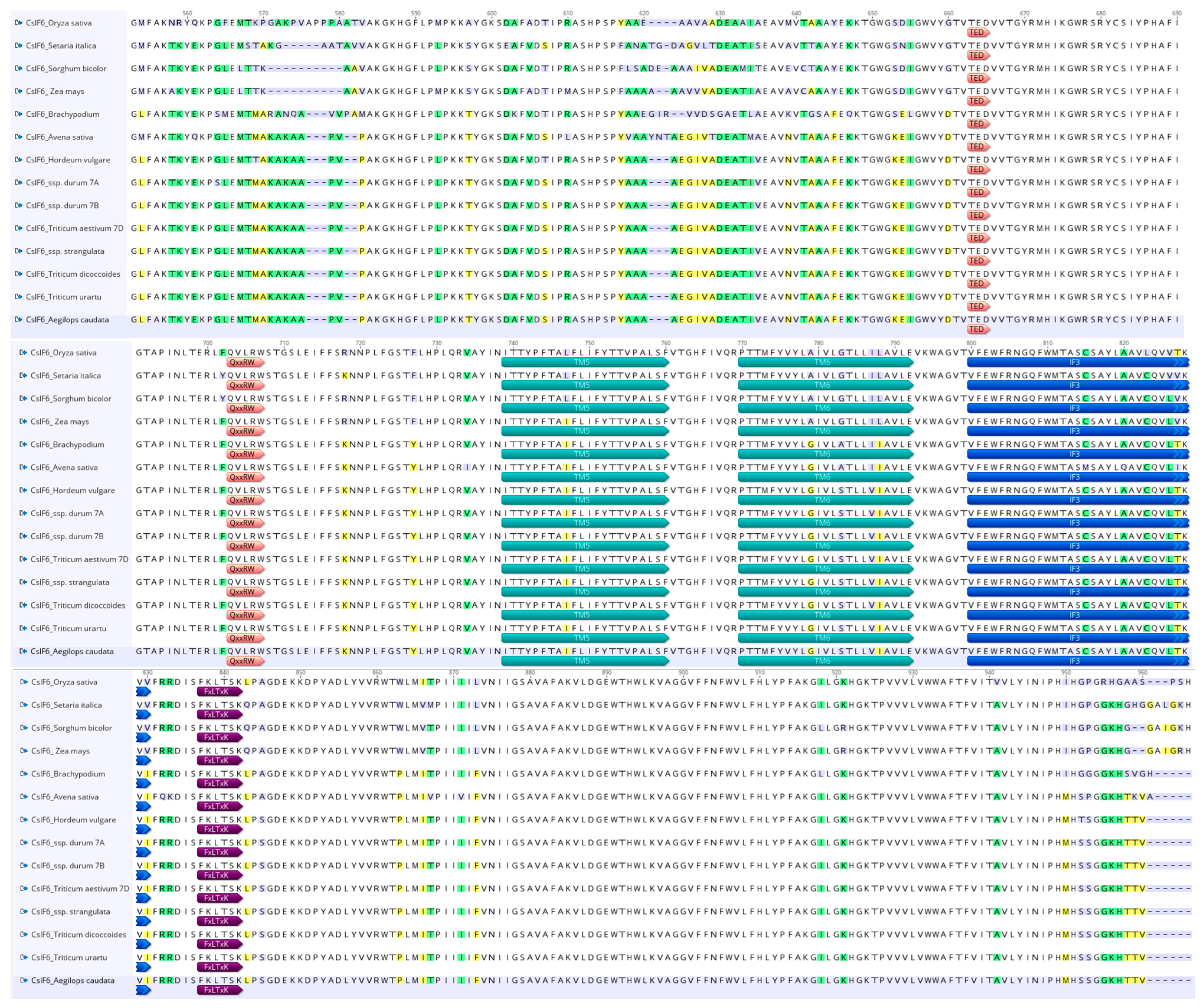 Genes 15 00168 g004 Genes 15 00168 g004