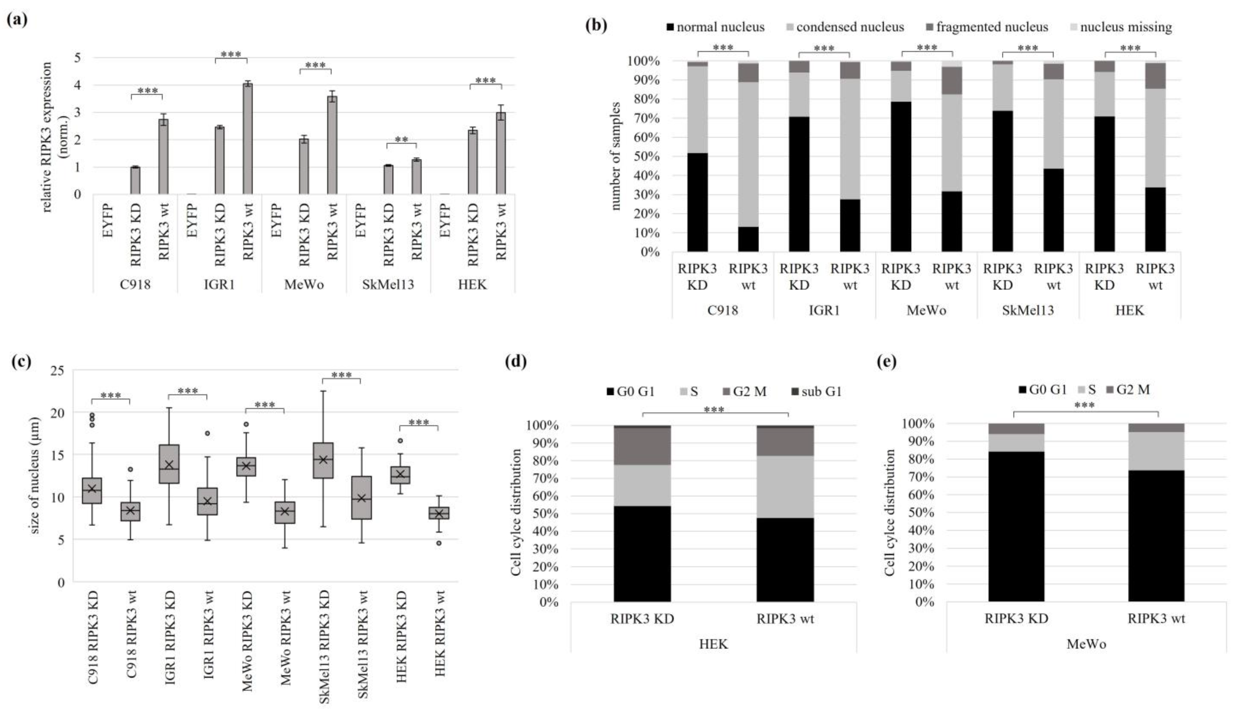 Genes 15 00175 g003