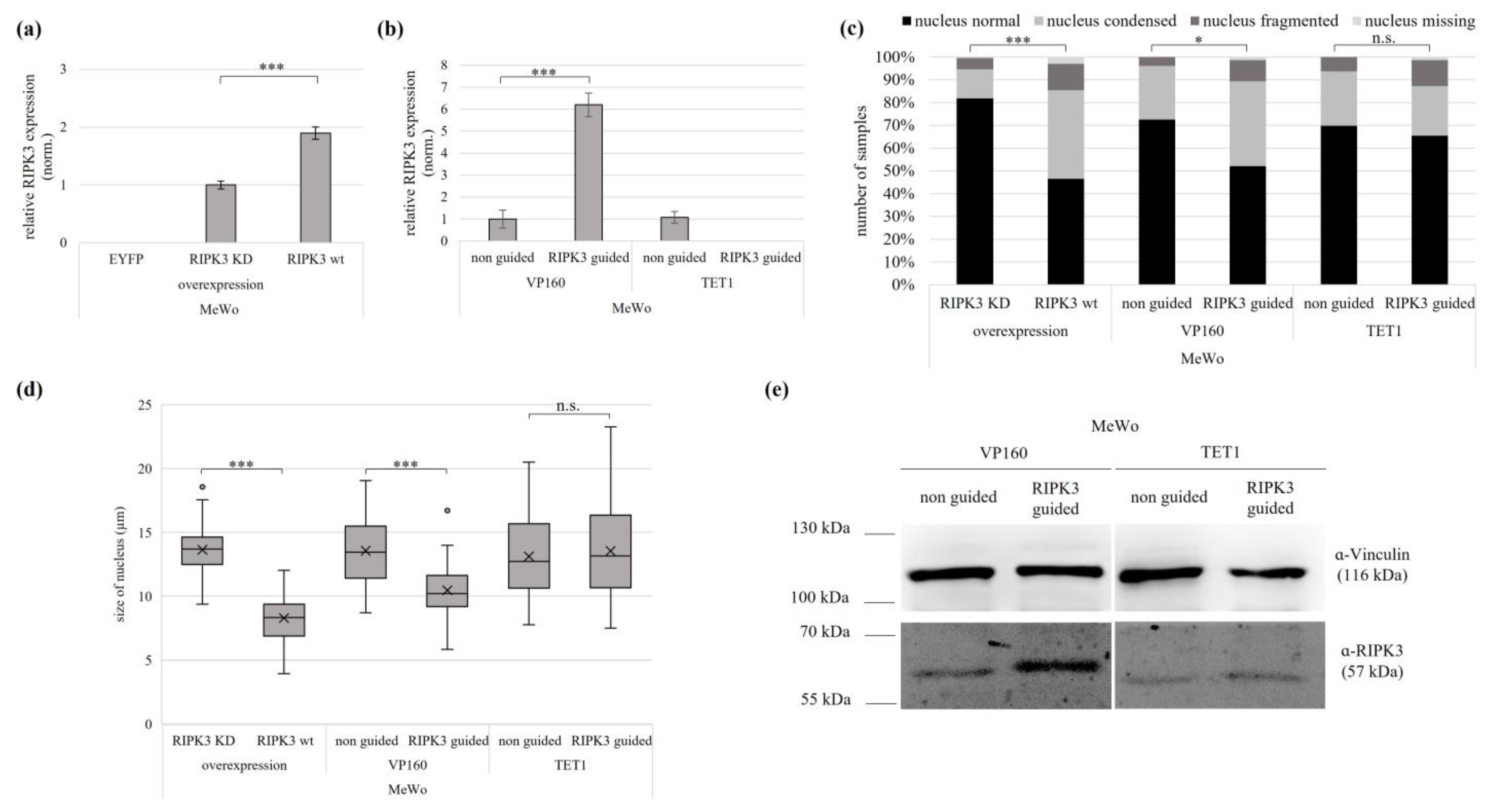 Genes 15 00175 g005