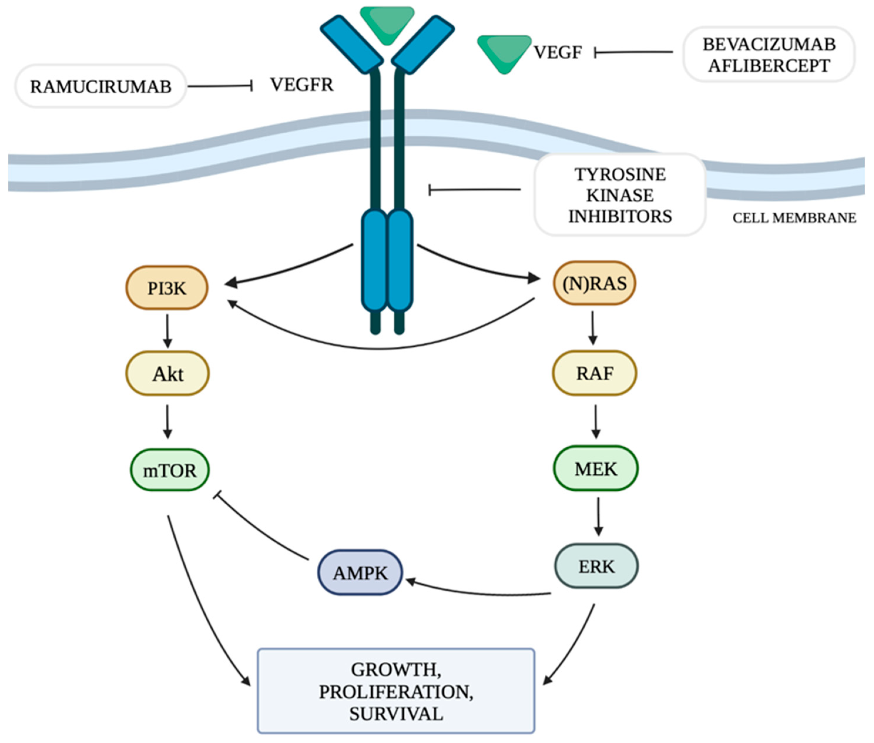Genes 15 00177 g001