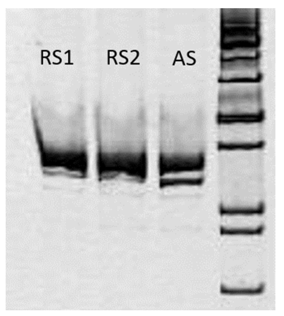 Genes 15 00180 g005