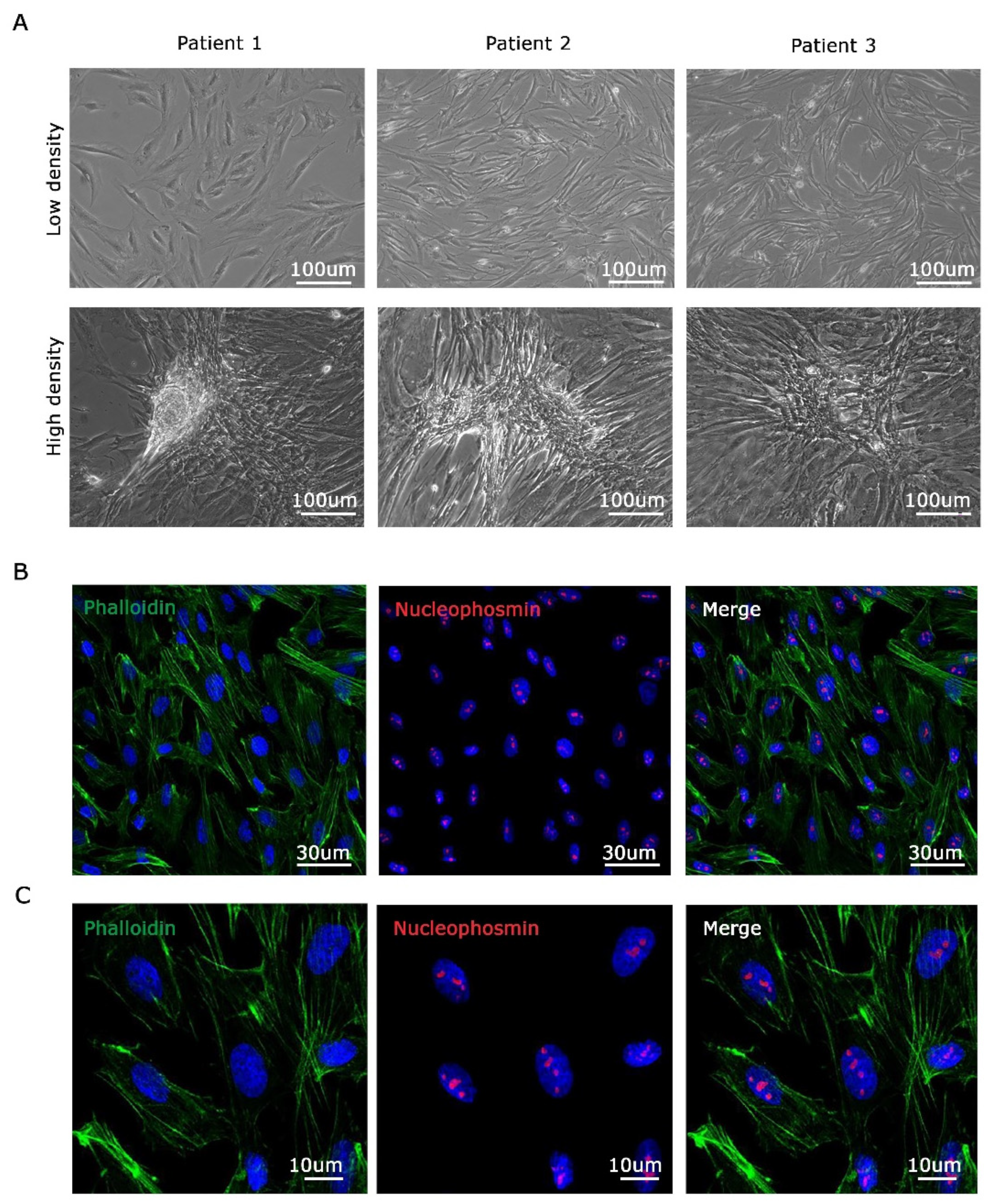 Genes 15 00199 g002
