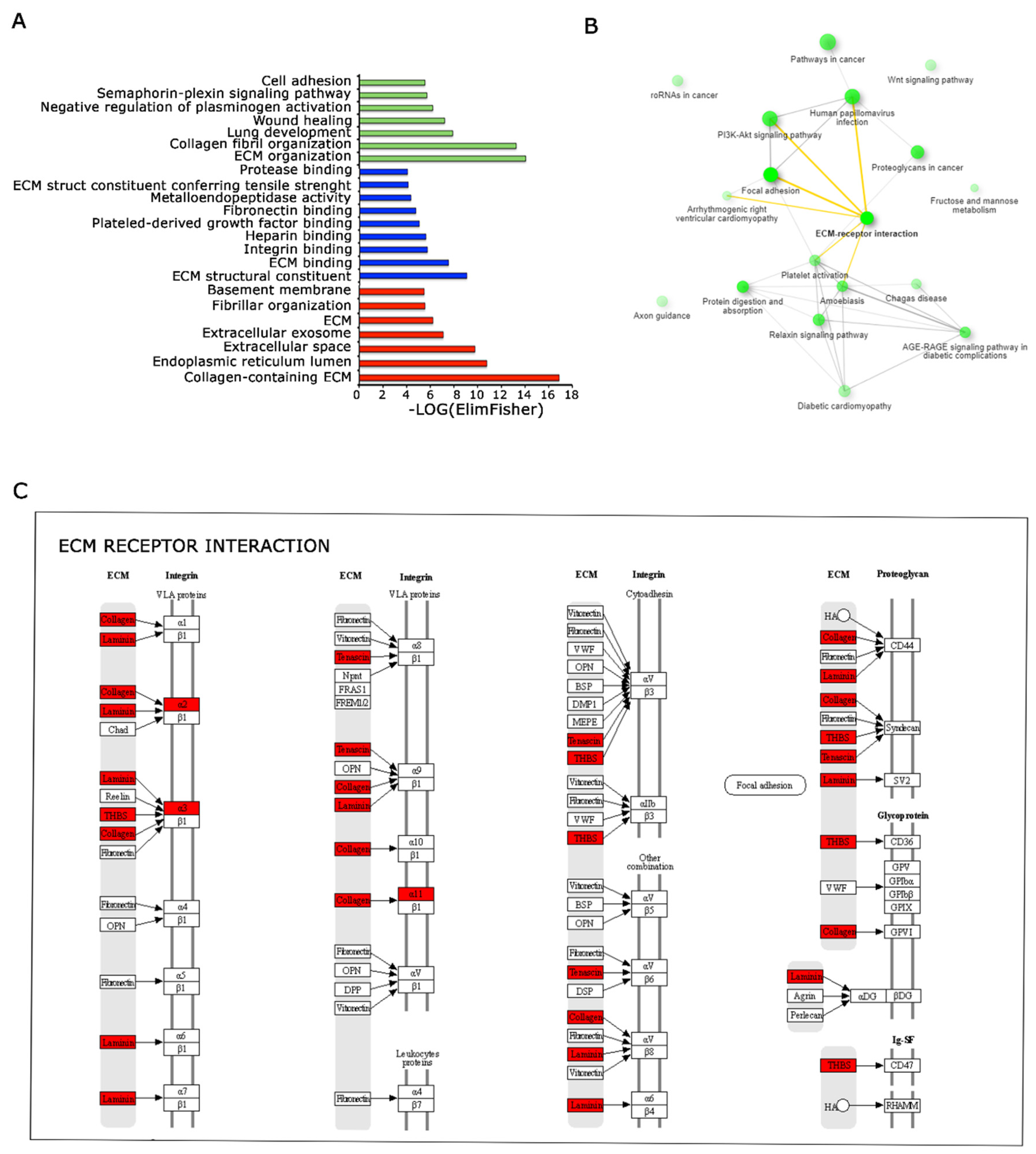 Genes 15 00199 g006