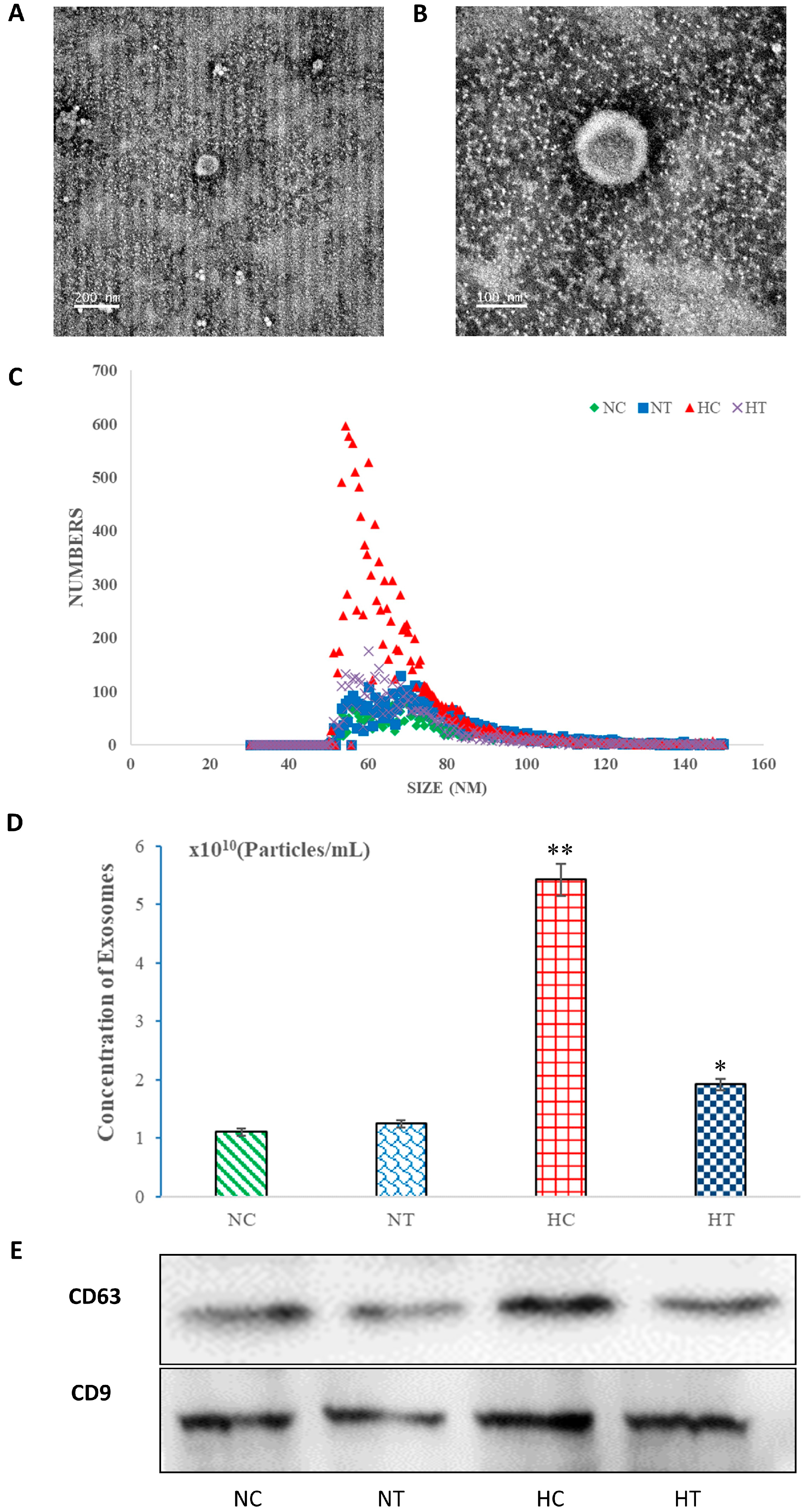 Genes 15 00217 g001